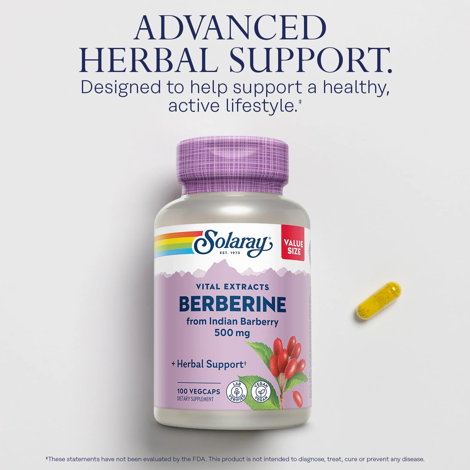 SOLARAY Berberine 500mg – Berberine HCl from Indian Barberry, Vegan, Non-GMO, 100 Servings - Image 3