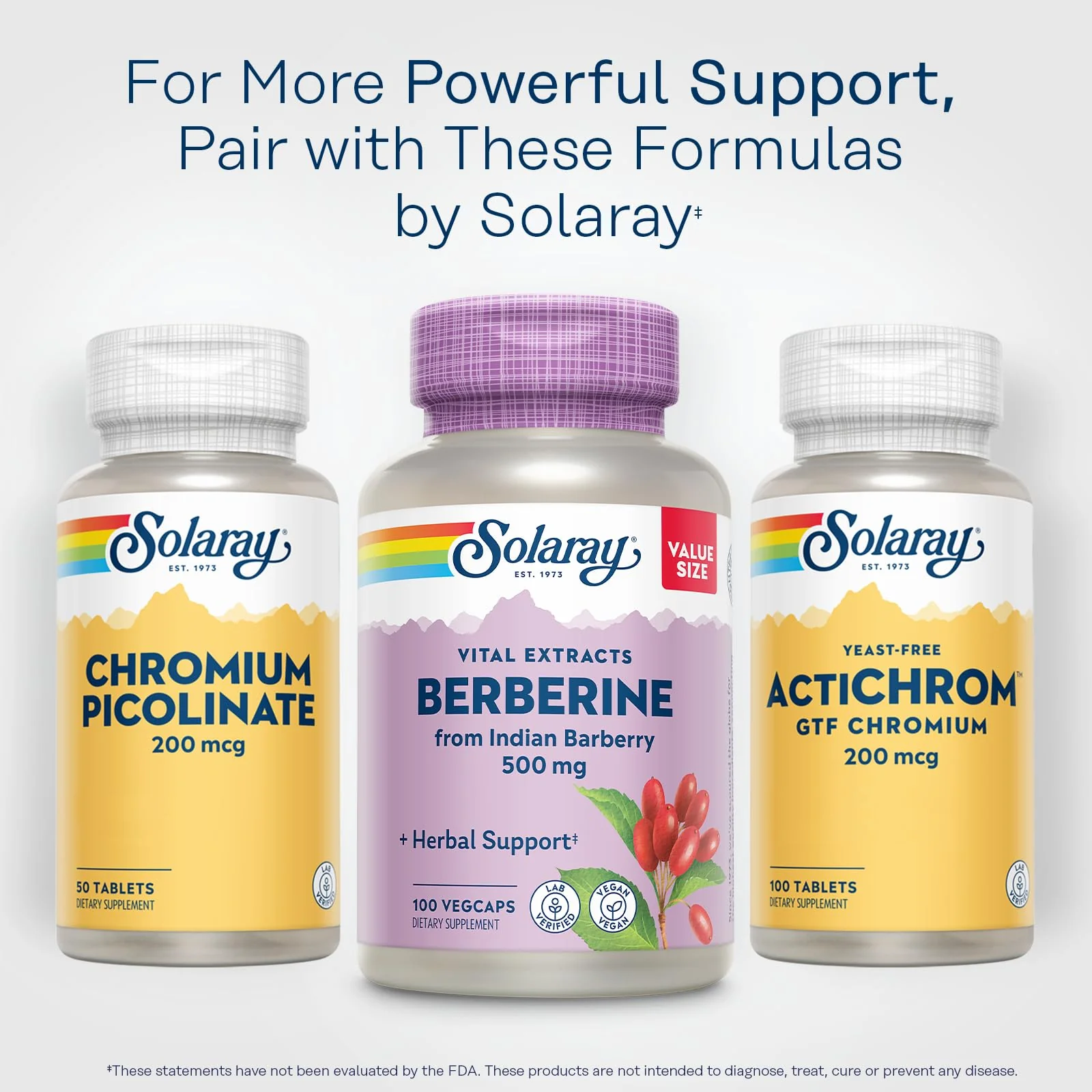 SOLARAY Berberine 500mg – Berberine HCl from Indian Barberry, Vegan, Non-GMO, 100 Servings - Image 6