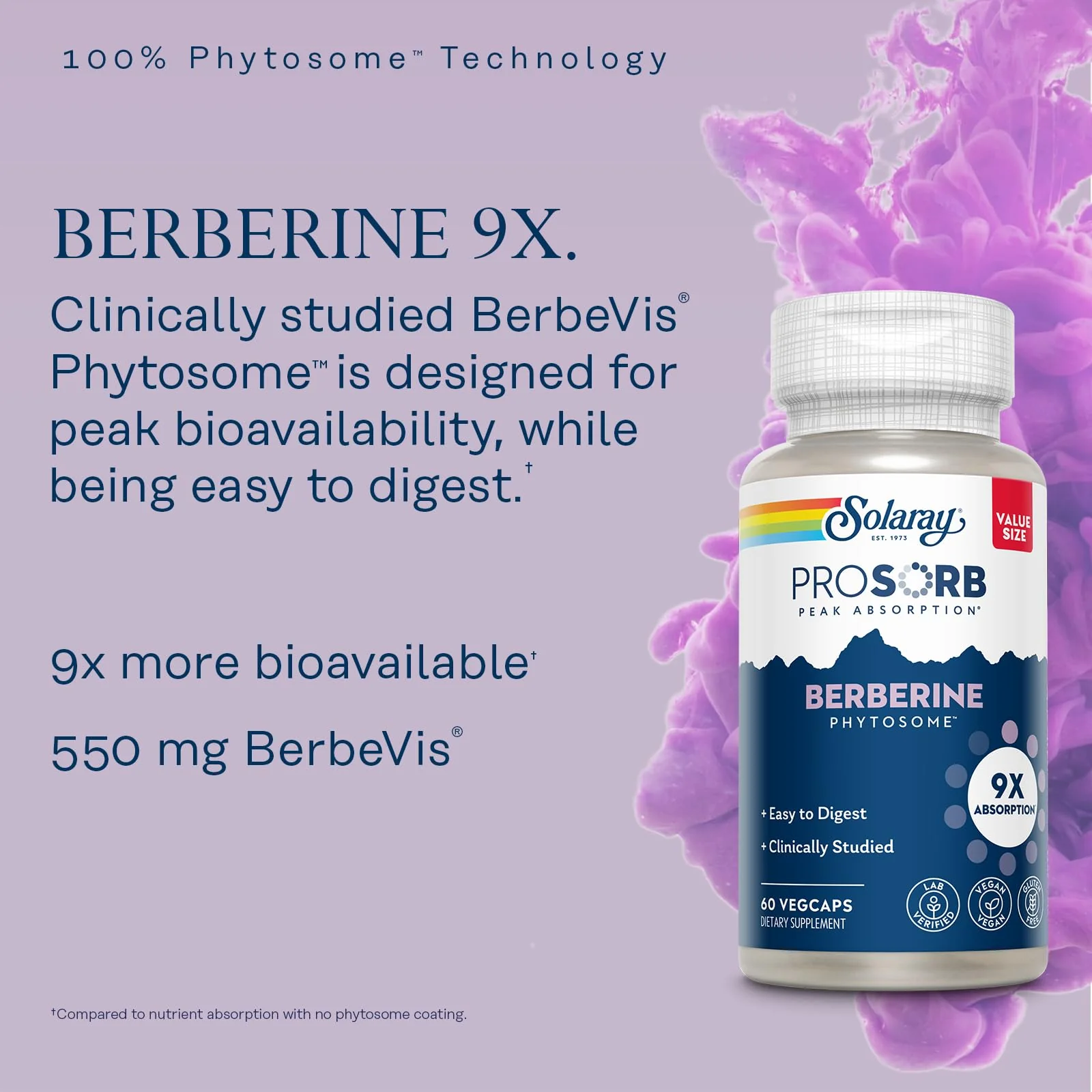 SOLARAY Berberine Phytosome – 9X Absorption, Easy to Digest, 30% Berberine HCl | Vegan, Soy-Free | 60 Servings, 60 VegCaps - Image 4