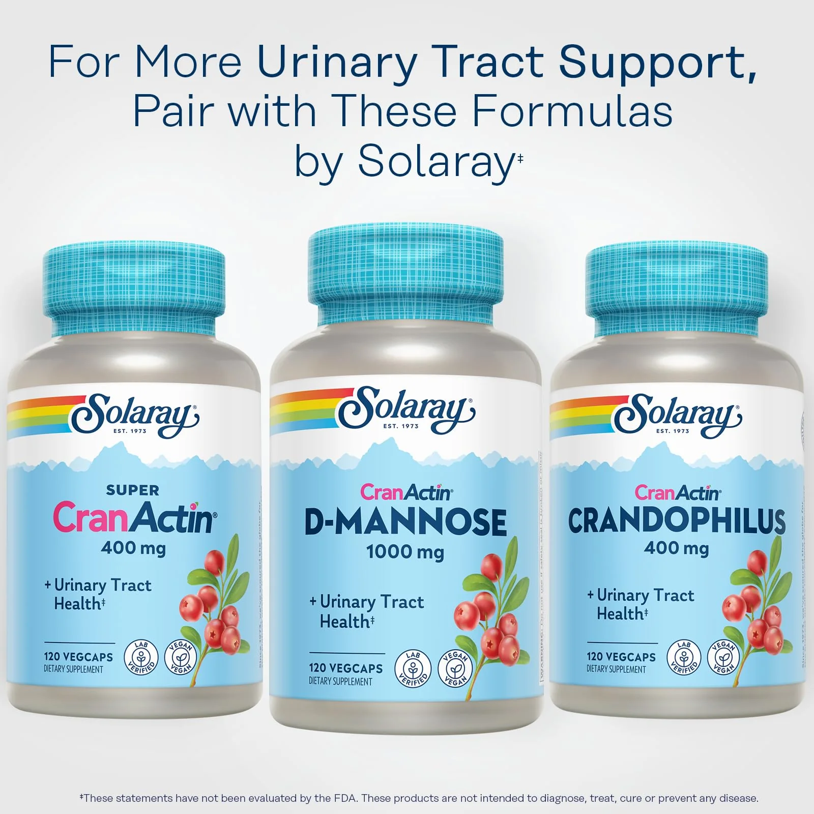SOLARAY D-Mannose 1000mg with CranActin Cranberry Extract - Vegan Urinary Tract Support + Vitamin C - Image 12