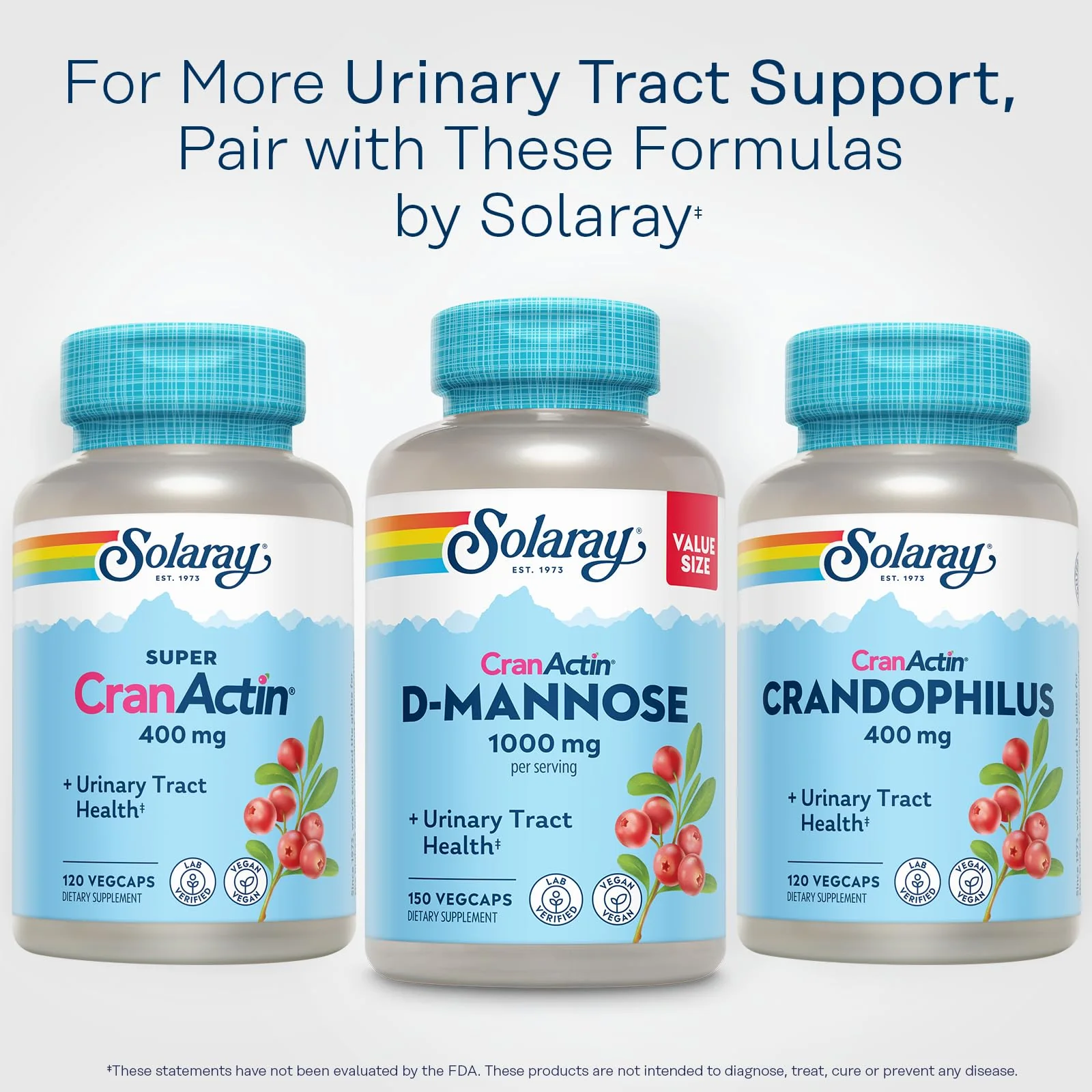 Solaray D-Mannose 1000mg with CranActin Cranberry – Urinary Health Support, Vegan, 150 VegCaps - Image 12