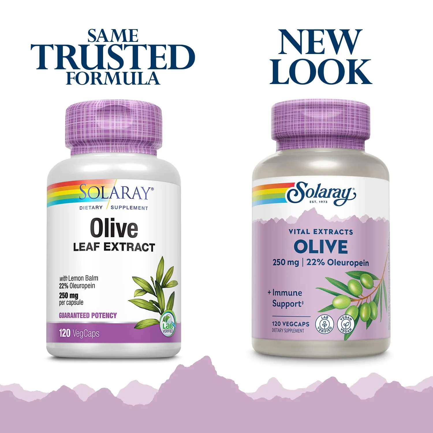 SOLARAY Olive Leaf Extract 250mg Capsules - 22% Oleuropein, Lemon Balm, Vegan, 120 Servings - Image 2