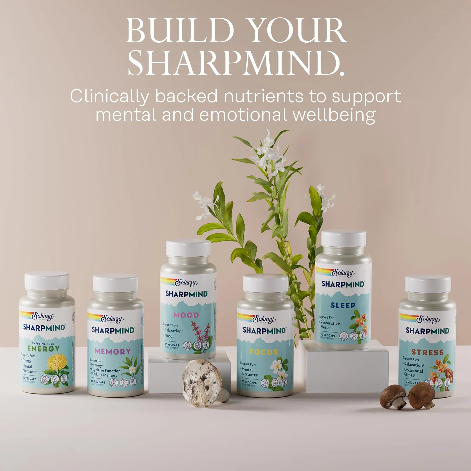 SOLARAY SharpMind Mood Support Supplement - Nootropic for Relaxation & Emotional Well-Being - Image 6