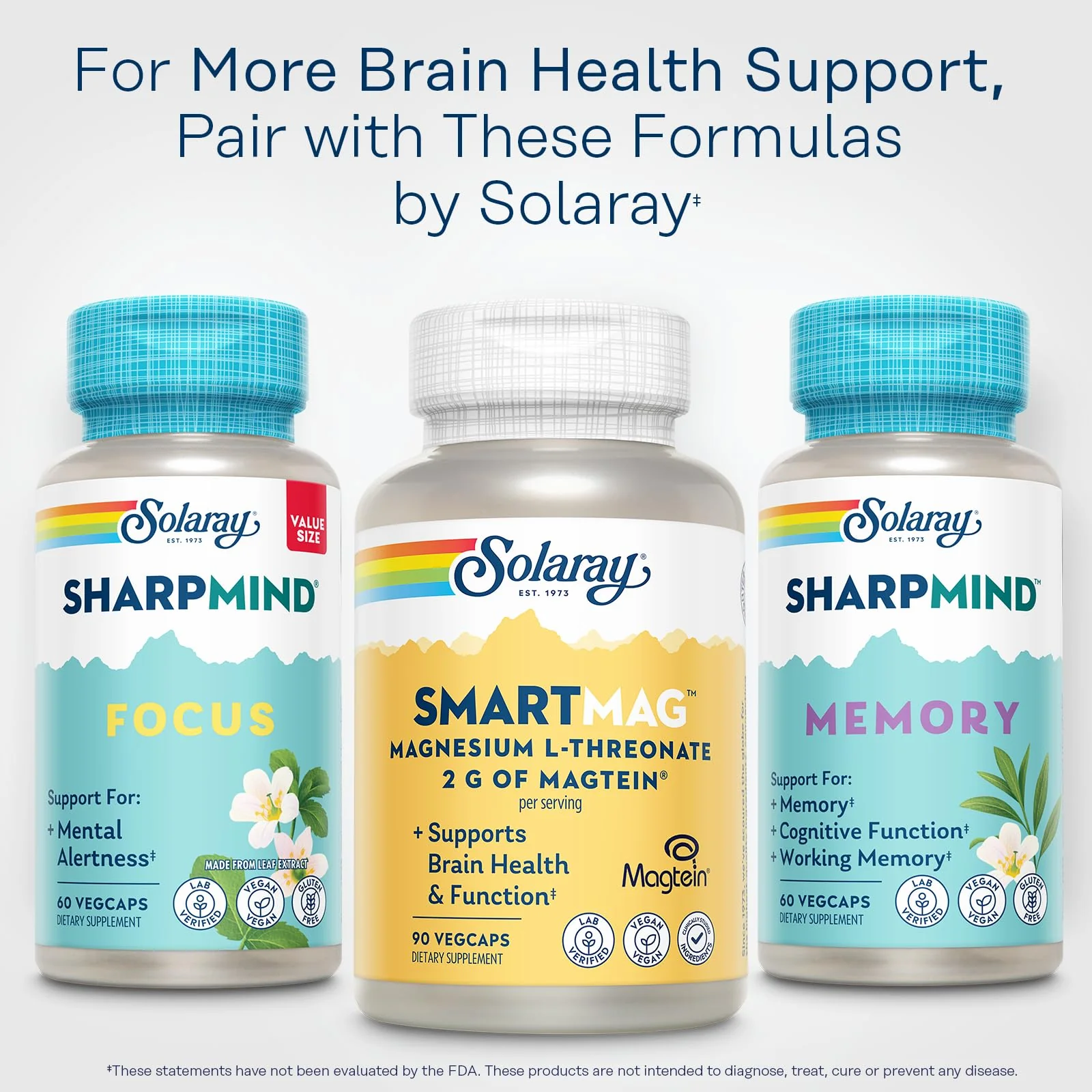 SOLARAY SmartMag Magtein Magnesium L-Threonate 2g – Brain Health Support, 30 Servings – Vegan - Image 6
