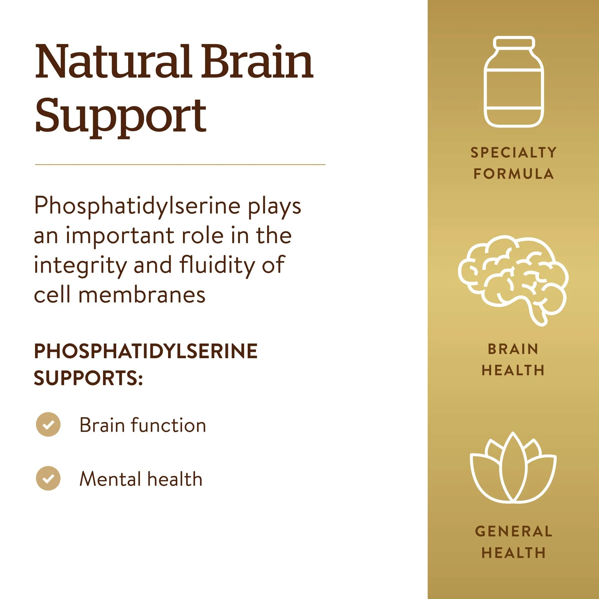 Solgar Phosphatidylserine 200 mg Softgels – 60 Servings | Premium Brain Health - Image 10