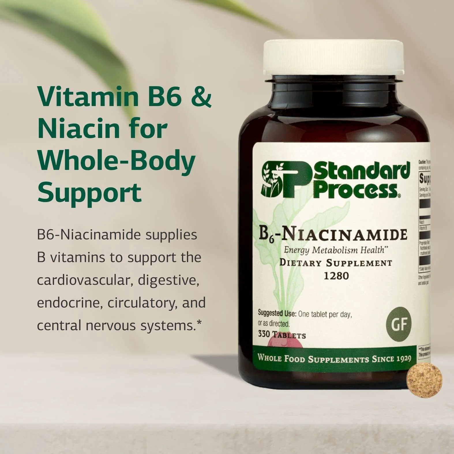 Standard Process B6-Niacinamide: Energy Metabolism & Cardiovascular Support (Gluten-Free, 330 Tablets) - Image 3