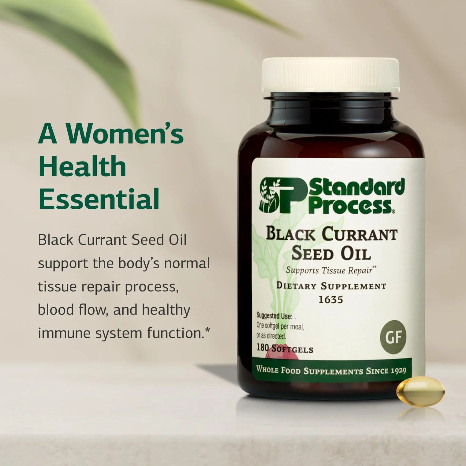 Standard Process Black Currant Seed Oil Dietary Supplement – Gluten-Free Immune & Tissue Support | 180 Softgels - Image 10