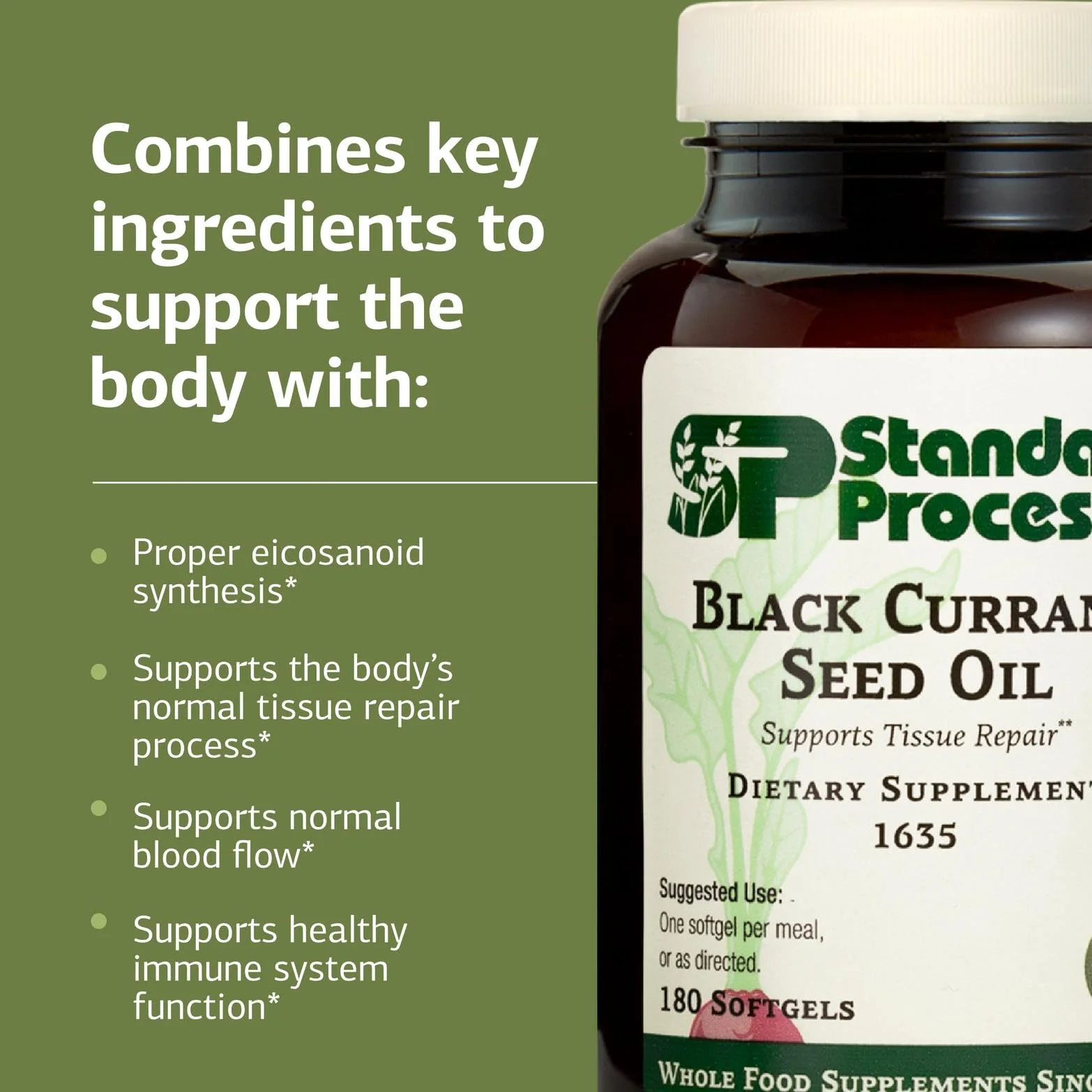 Standard Process Black Currant Seed Oil Dietary Supplement – Gluten-Free Immune & Tissue Support | 180 Softgels - Image 11