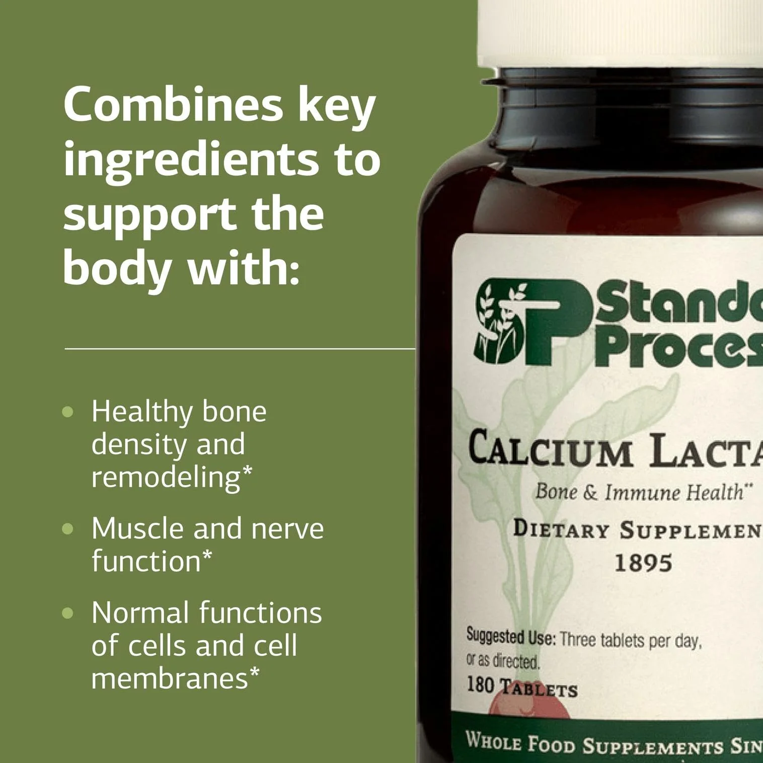 Standard Process Calcium Lactate – Bone & Immune Health (180 Tablets) | Vegan, Gluten-Free - Image 4