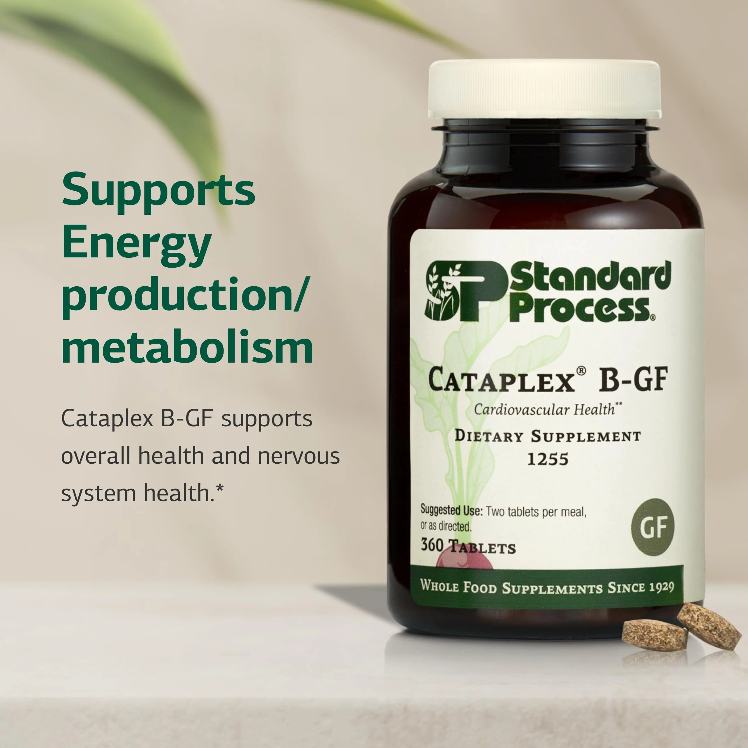 Standard Process Cataplex B-GF - Nervous System & Energy Support - Gluten-Free, Non-Dairy & Non-Soy - 360 Tablets - Image 3