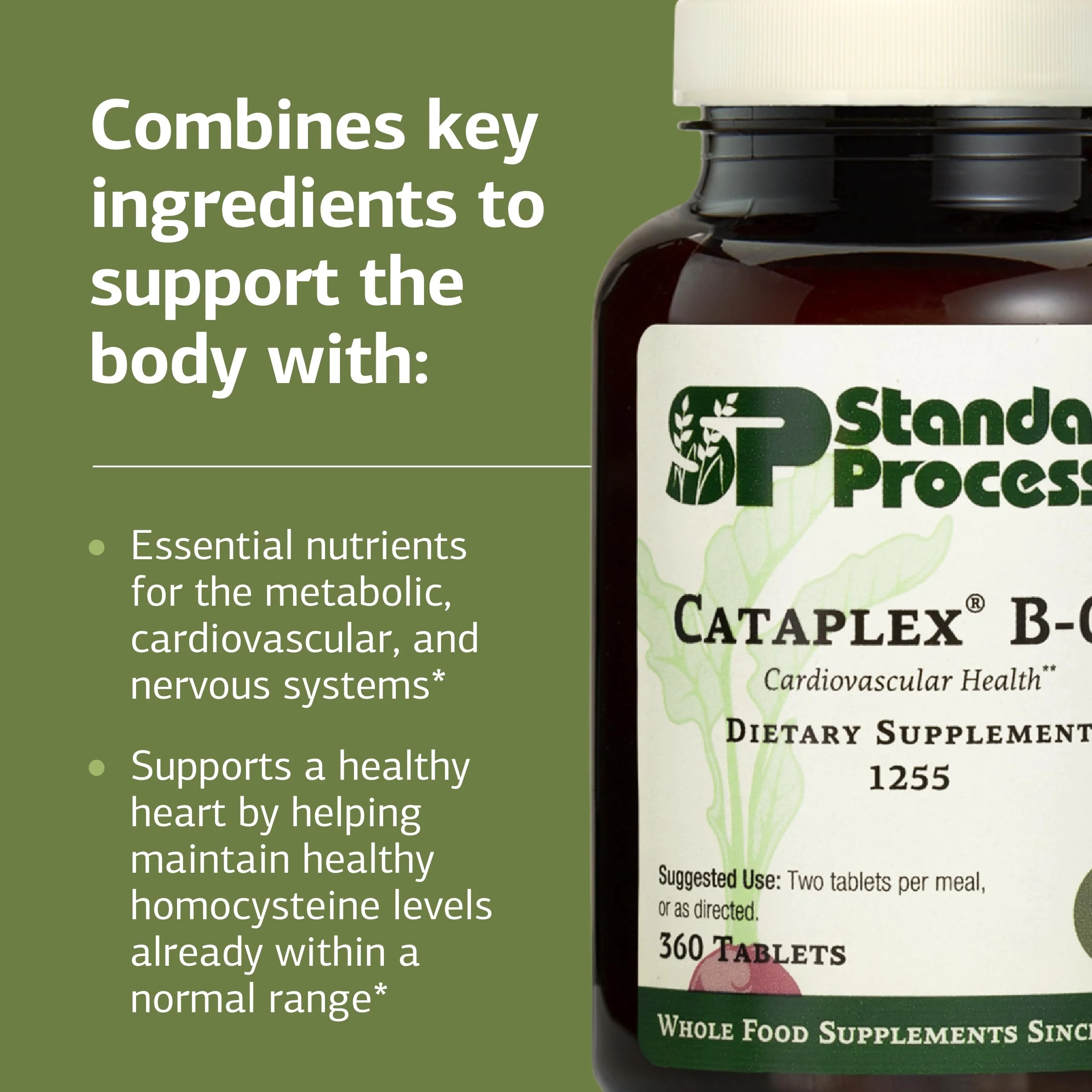 Standard Process Cataplex B-GF - Nervous System & Energy Support - Gluten-Free, Non-Dairy & Non-Soy - 360 Tablets - Image 4