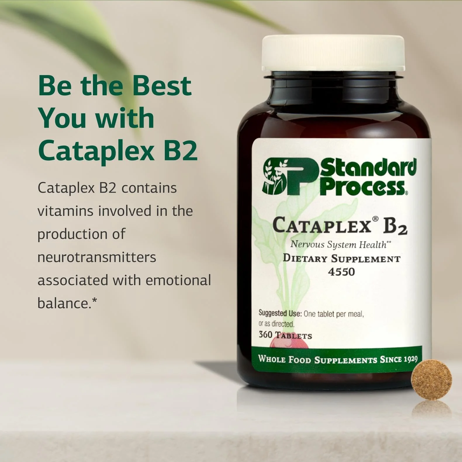 Standard Process Cataplex B2 – Nervous System Health Dietary Supplement (Non-Dairy & Non-Soy) – 360 Tablets - Image 10
