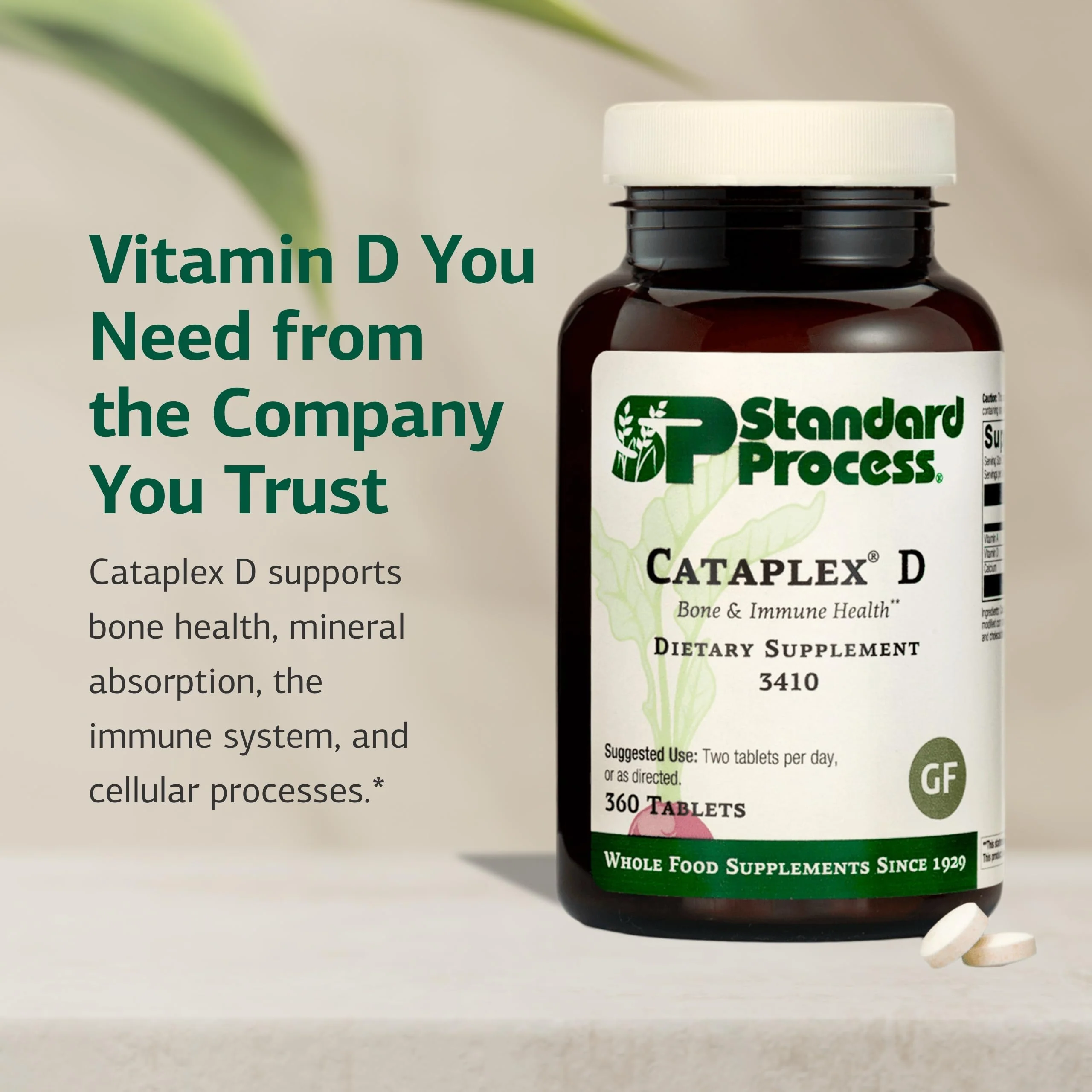 Standard Process Cataplex D - Immune Support, Bone Health & Mineral Absorption - 360 Tablets - Gluten-Free - Image 3