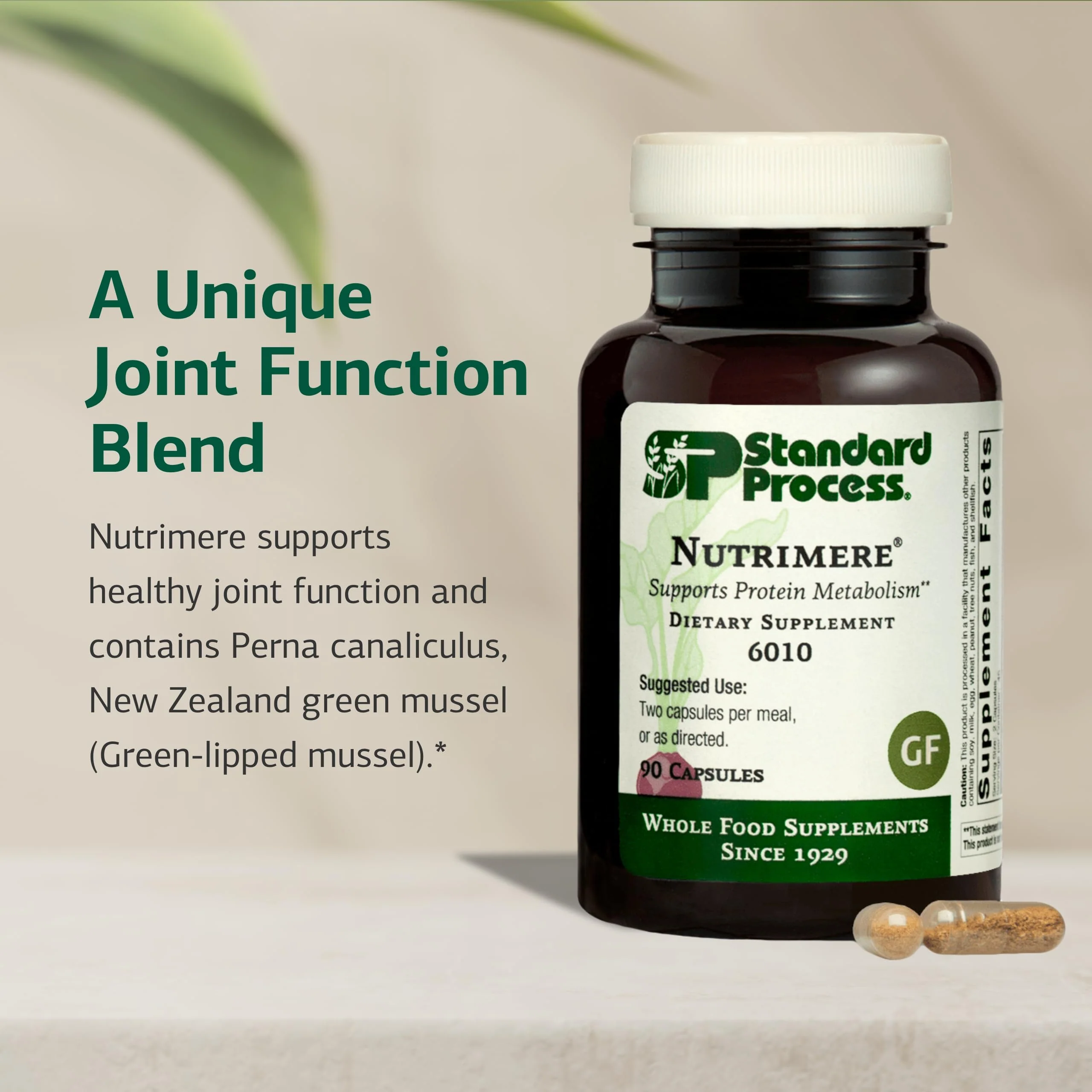 Standard Process Nutrimere – Joint Health Support (Perna Canaliculus & Green Mussel) – 90 Capsules - Image 10