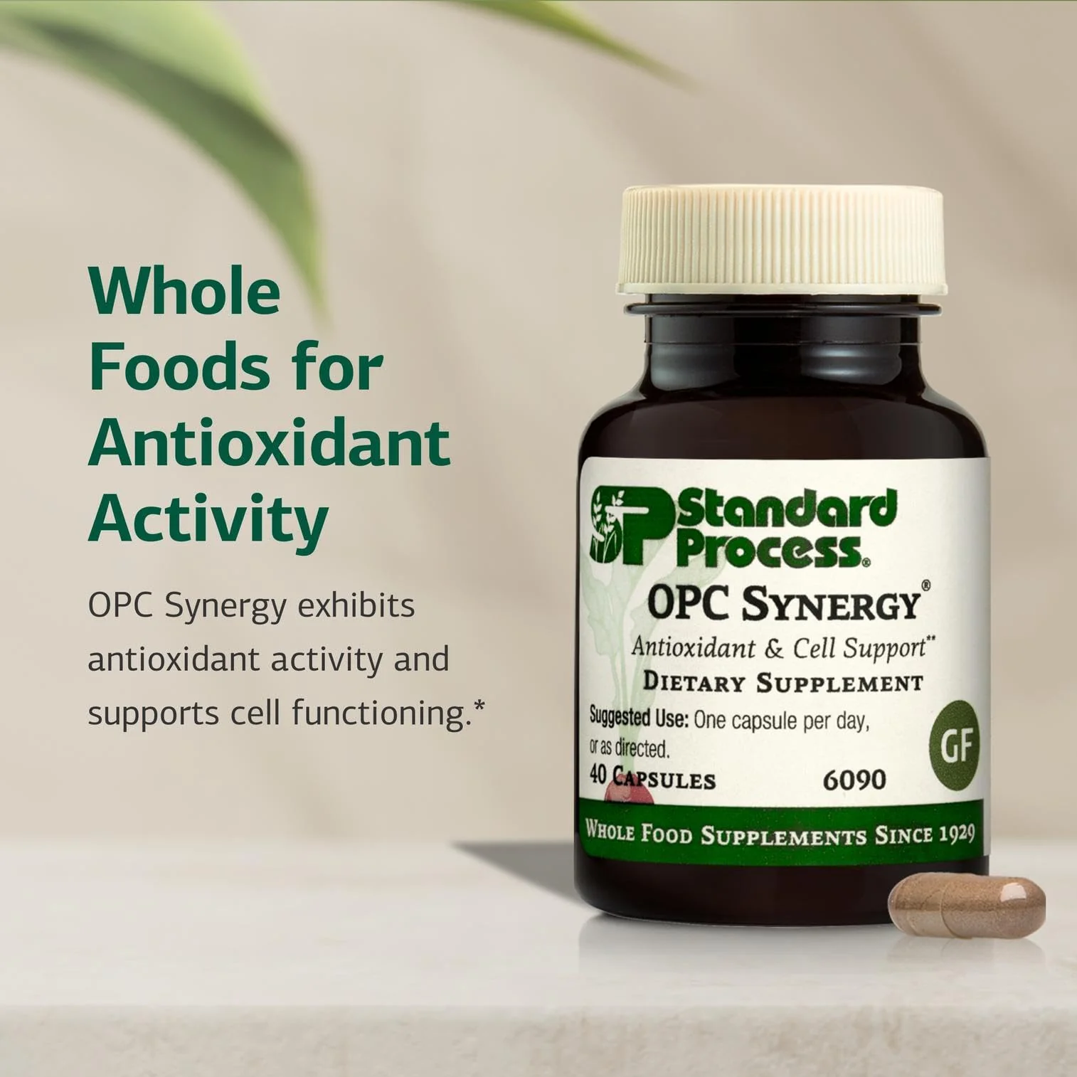 Standard Process OPC Synergy – Antioxidant & Brain Health – 150 Tablets - Image 3