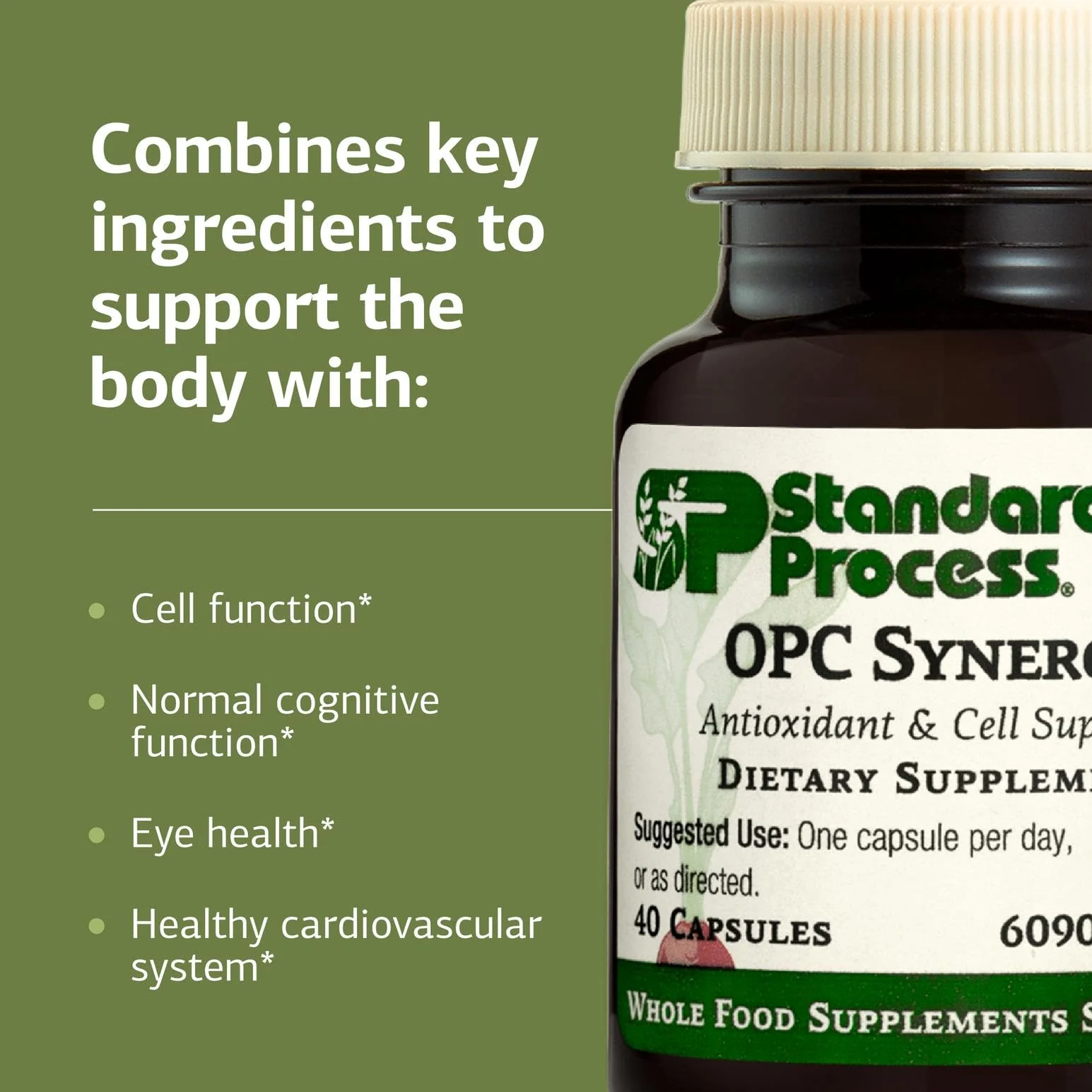 Standard Process OPC Synergy – Antioxidant & Brain Health – 150 Tablets - Image 4