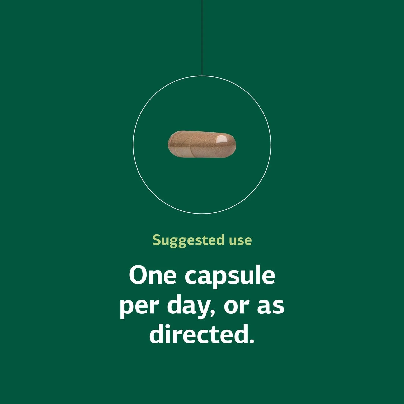 Standard Process OPC Synergy – Antioxidant & Brain Health – 150 Tablets - Image 5