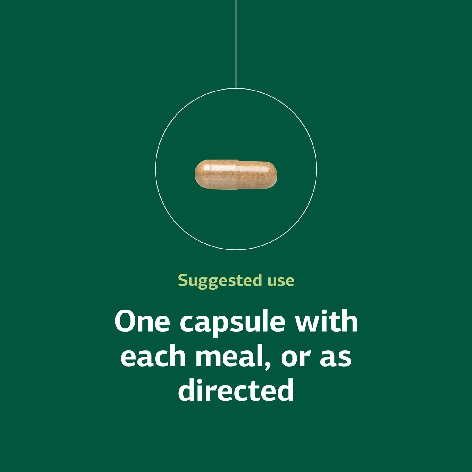 Standard Process Orchex - Whole-Food Nervous System Support, Mental Clarity & Stress Adaptability | 90 Capsules - Image 6