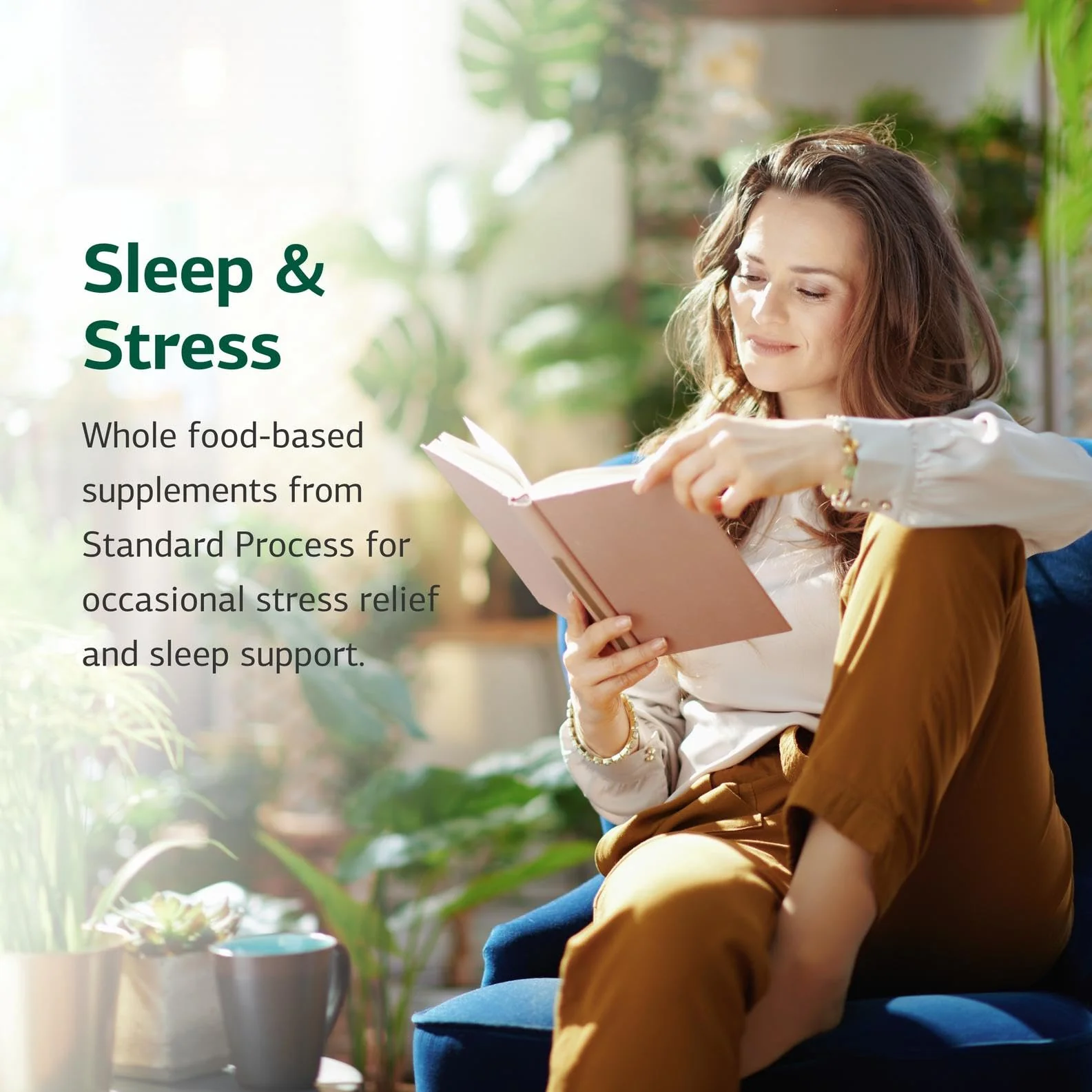 Standard Process Orchex - Whole-Food Nervous System Support, Mental Clarity & Stress Adaptability | 90 Capsules - Image 7