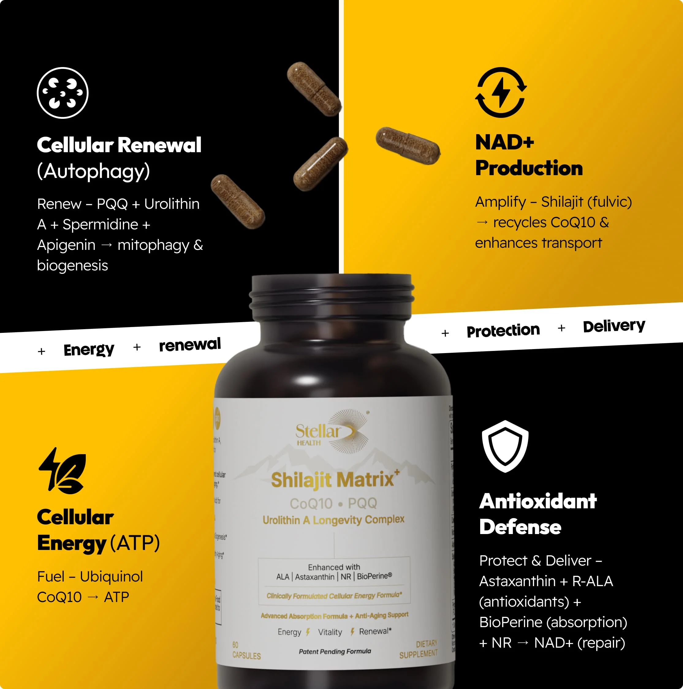 Stellar Health Clinical Mitochondrial Complex – Shilajit & NAD+ Booster with Ubiquinol CoQ10, NR, PQQ, ALA, Astaxanthin | 60 Vegan Capsules - Image 10