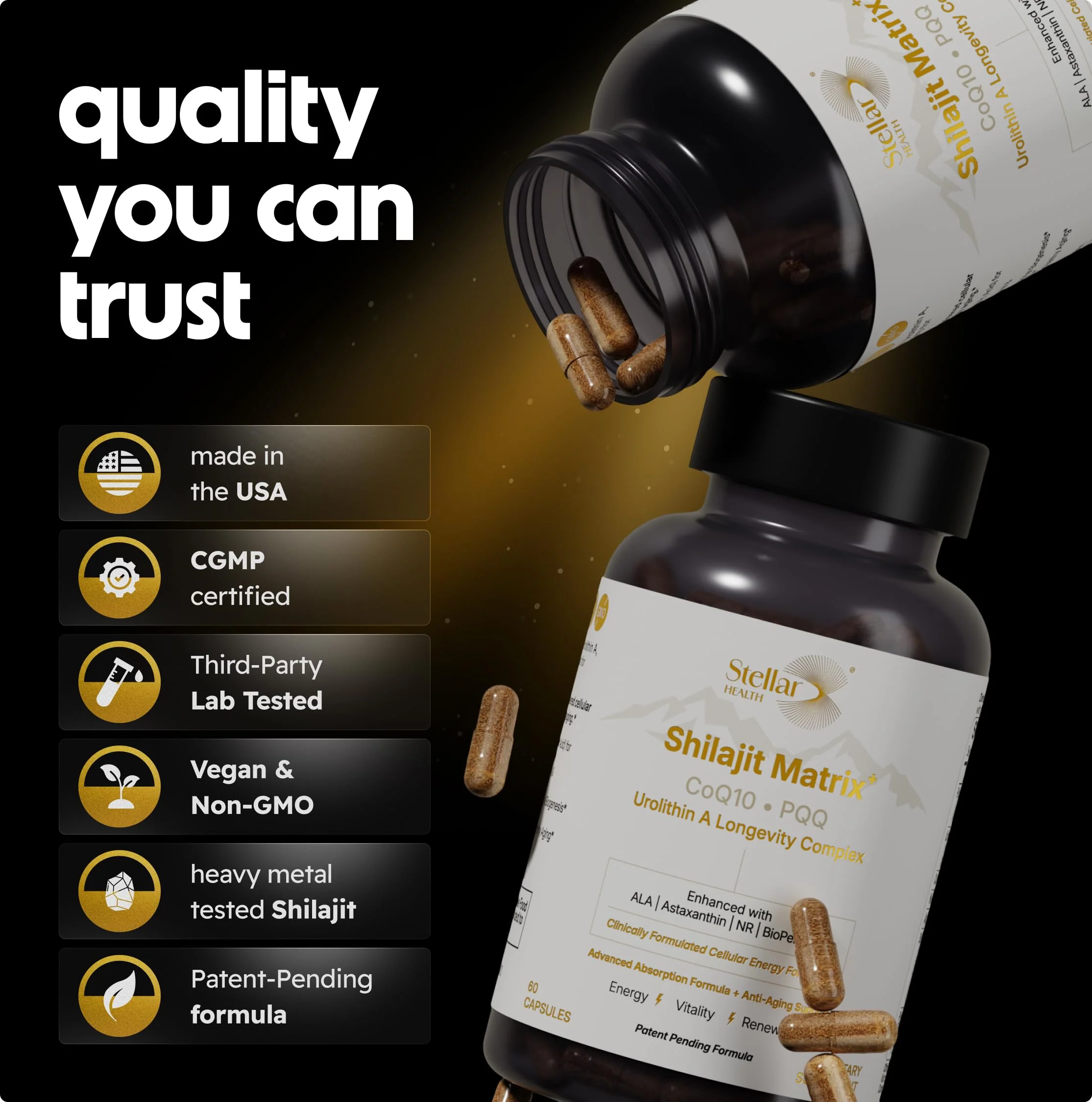 Stellar Health Clinical Mitochondrial Complex – Shilajit & NAD+ Booster with Ubiquinol CoQ10, NR, PQQ, ALA, Astaxanthin | 60 Vegan Capsules - Image 16