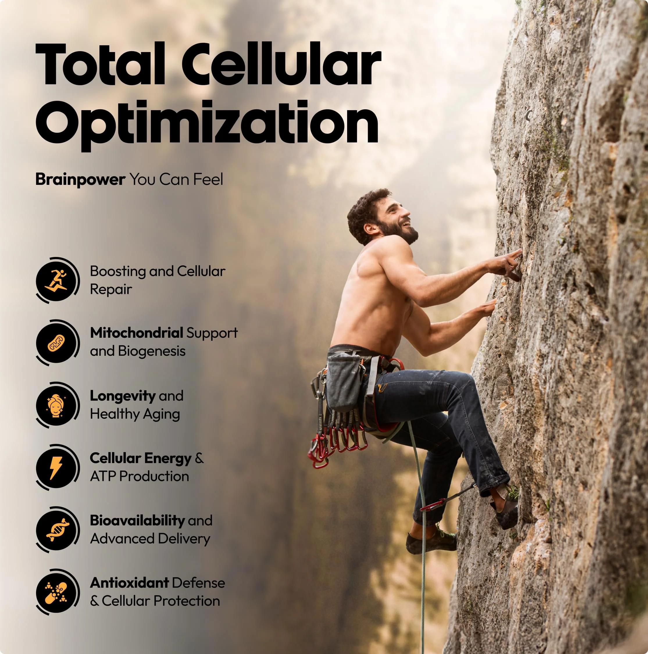 Stellar Health Clinical Mitochondrial Complex – Shilajit & NAD+ Booster with Ubiquinol CoQ10, NR, PQQ, ALA, Astaxanthin | 60 Vegan Capsules - Image 6