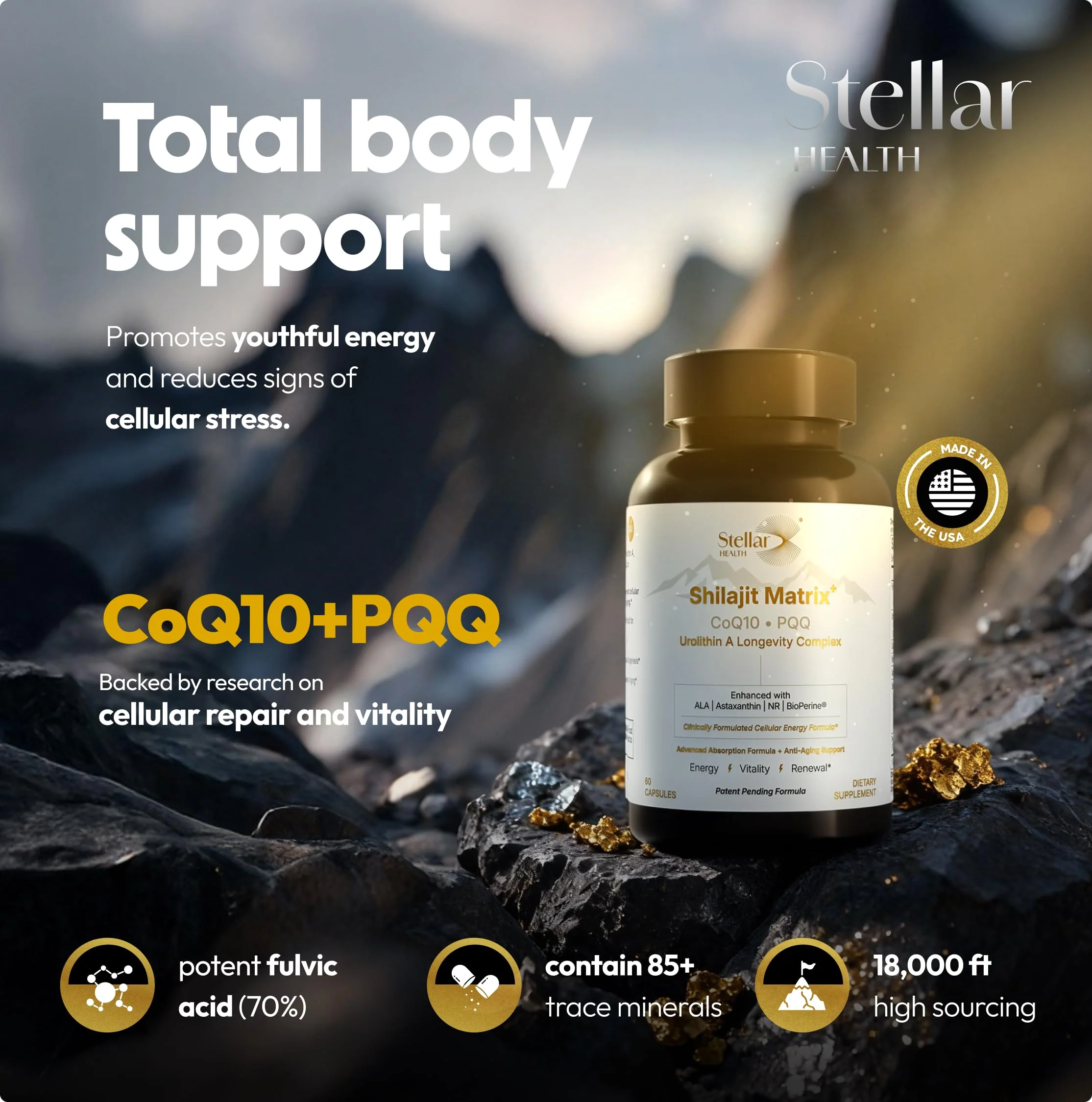 Stellar Health Clinical Mitochondrial Complex – Shilajit & NAD+ Booster with Ubiquinol CoQ10, NR, PQQ, ALA, Astaxanthin | 60 Vegan Capsules - Image 9