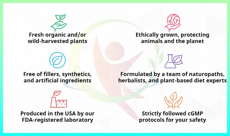 StemAlive - Promotes Stem Cell Nutrition, Function & Health, 90 Capsules, from 100% Natural Sources - Image 7