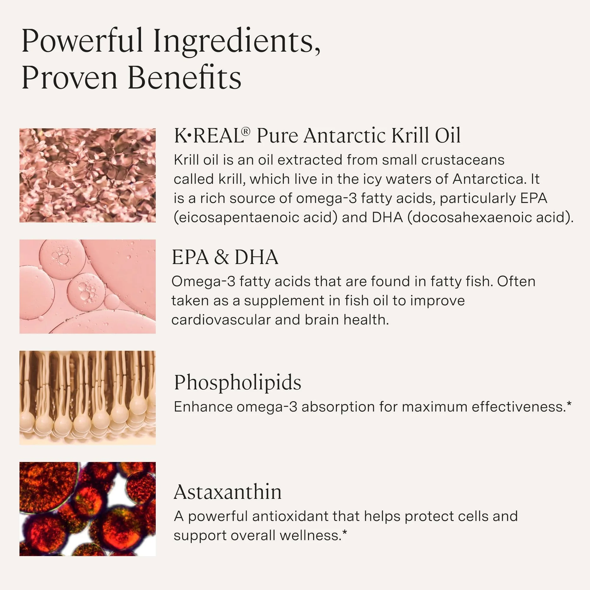 Stonehenge Health Dynamic Krill Oil 1600mg – Triple Strength Antarctic Omega-3 with EPA, DHA, Phospholipids & 2mg Astaxanthin – 60 Softgels - Image 5