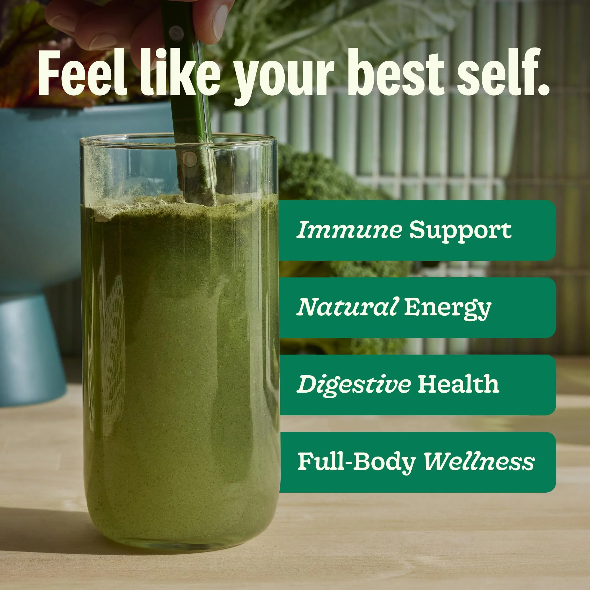 Suja Organic Greens Powder Probiotic Blend – Immune Support, Digestion & Daily Energy, 30 Servings - Image 3