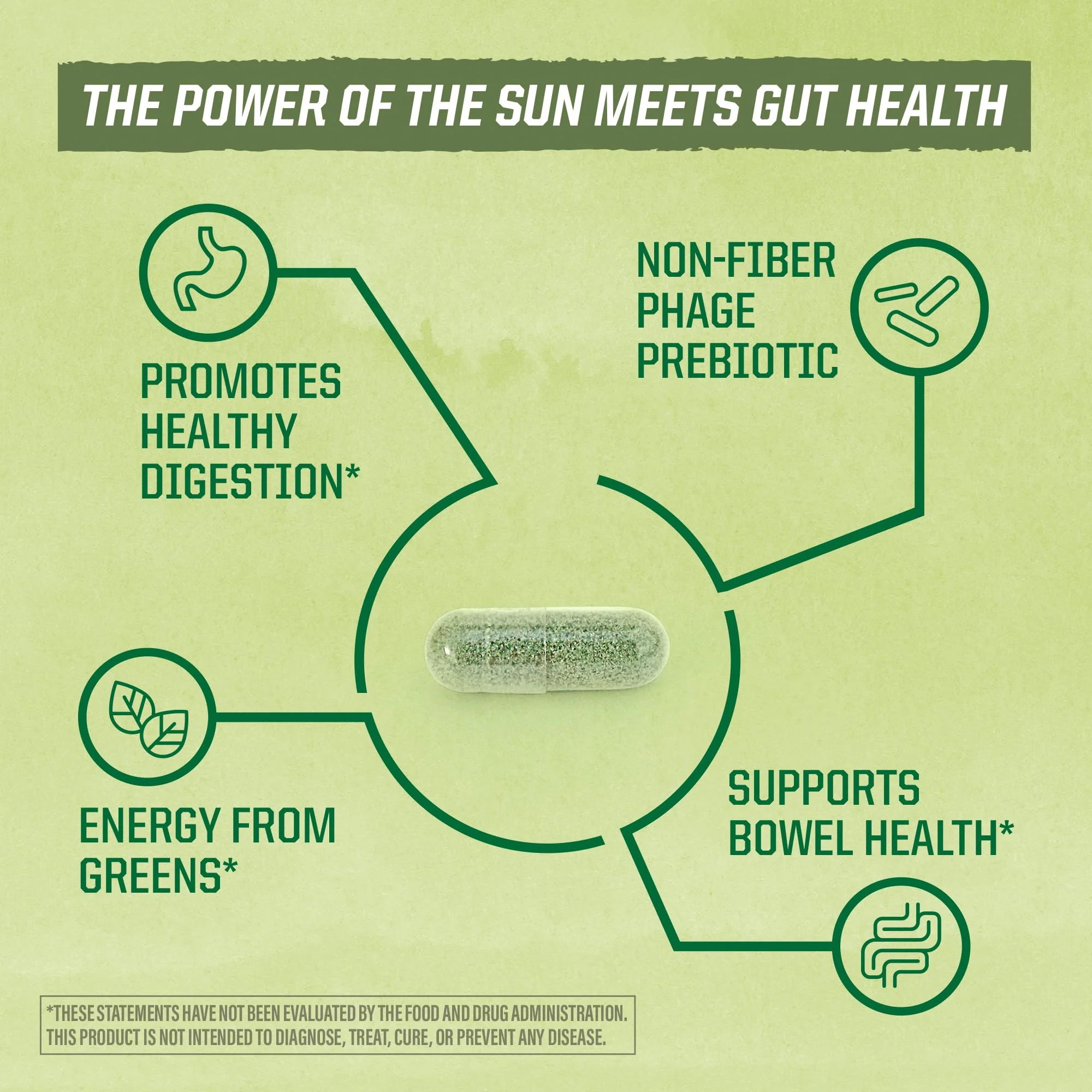 Sunwarrior Probiotics Soil-based Vegan Capsules | 10 billion CFU for Digestion Soy Free Gluten Free Dairy Free | 30 CT - Image 5