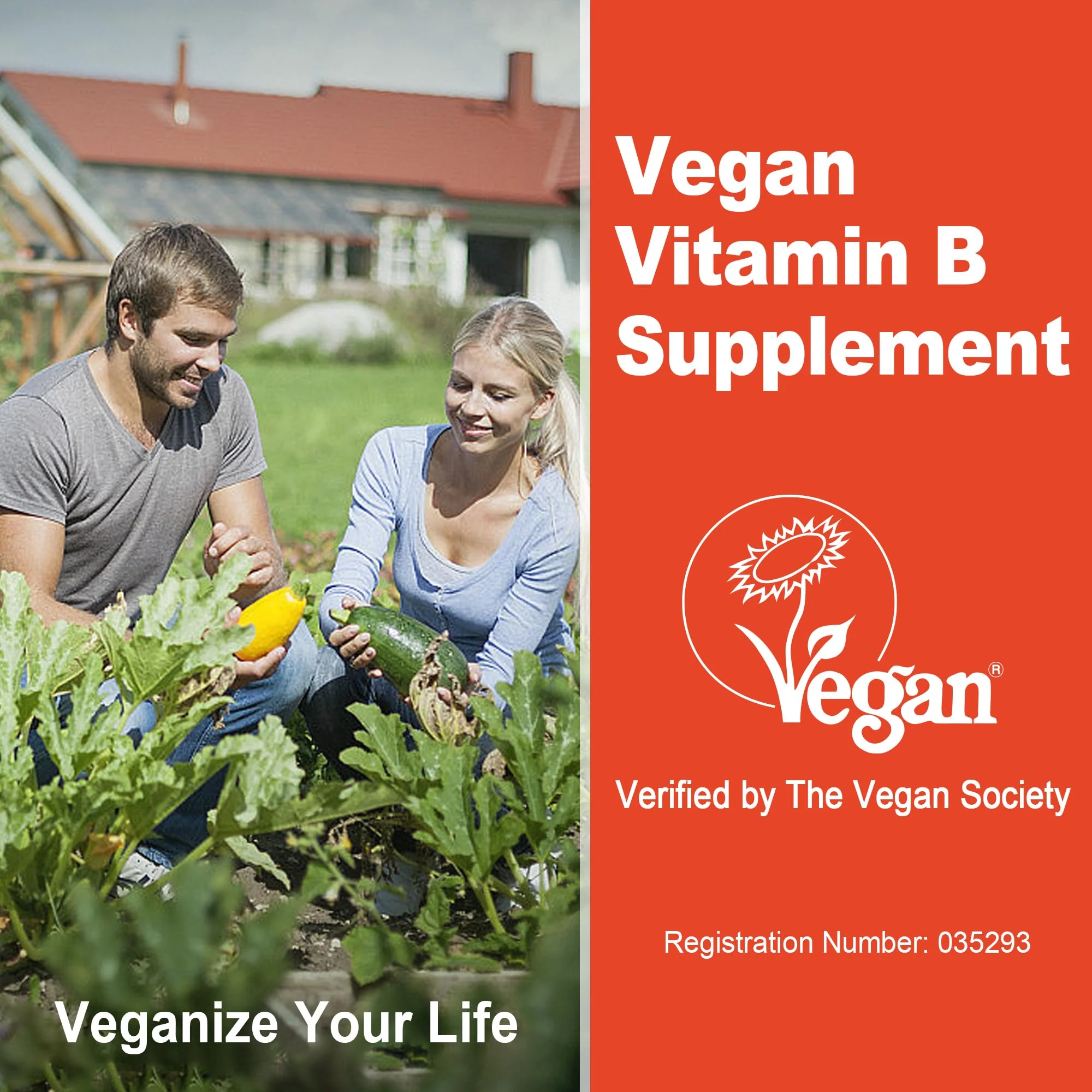 Super Methylated Vitamin B Complex Gummies – 8 B Vitamins + CoQ10, Magnesium - Image 7