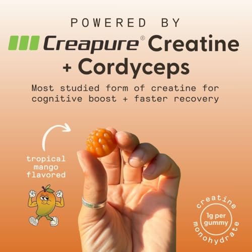 SuperMush Daily Creatine Gummies with Cordyceps – Sugar-Free Vegan Creatine Monohydrate for Strength, Focus & Recovery - Image 11