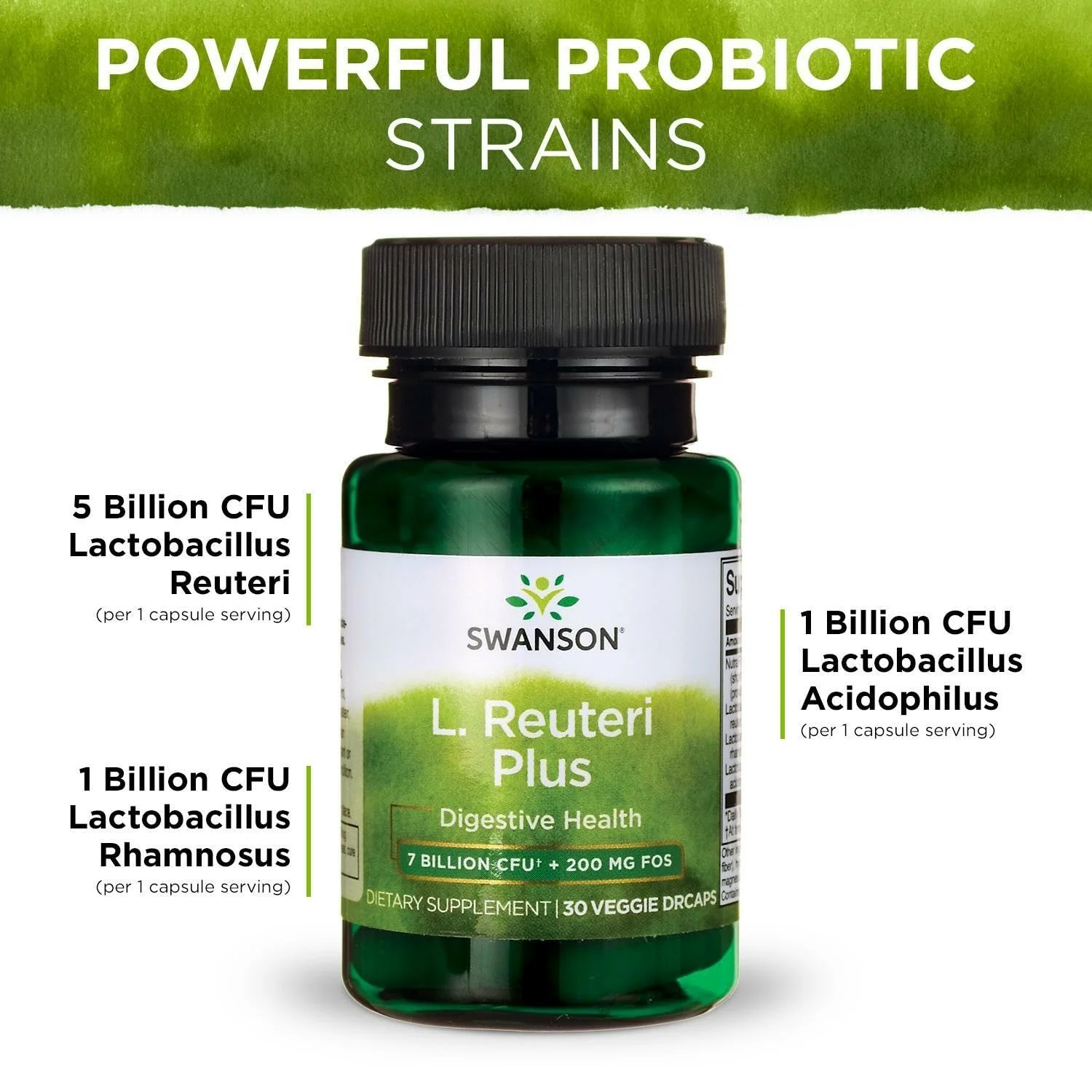 Swanson L. Reuteri Probiotic Plus with L. Rhamnosus & L. Acidophilus + FOS – 7B CFU per Capsule (3 Pack) - Image 12
