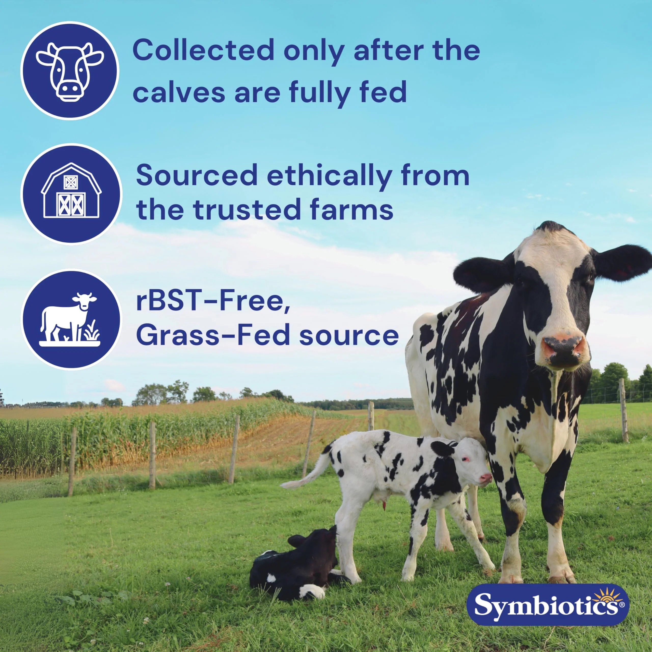 Symbiotics Colostrum 240ct Capsules – Immune Support, 25% IgG, Lactoferrin, Gluten Free - Image 12