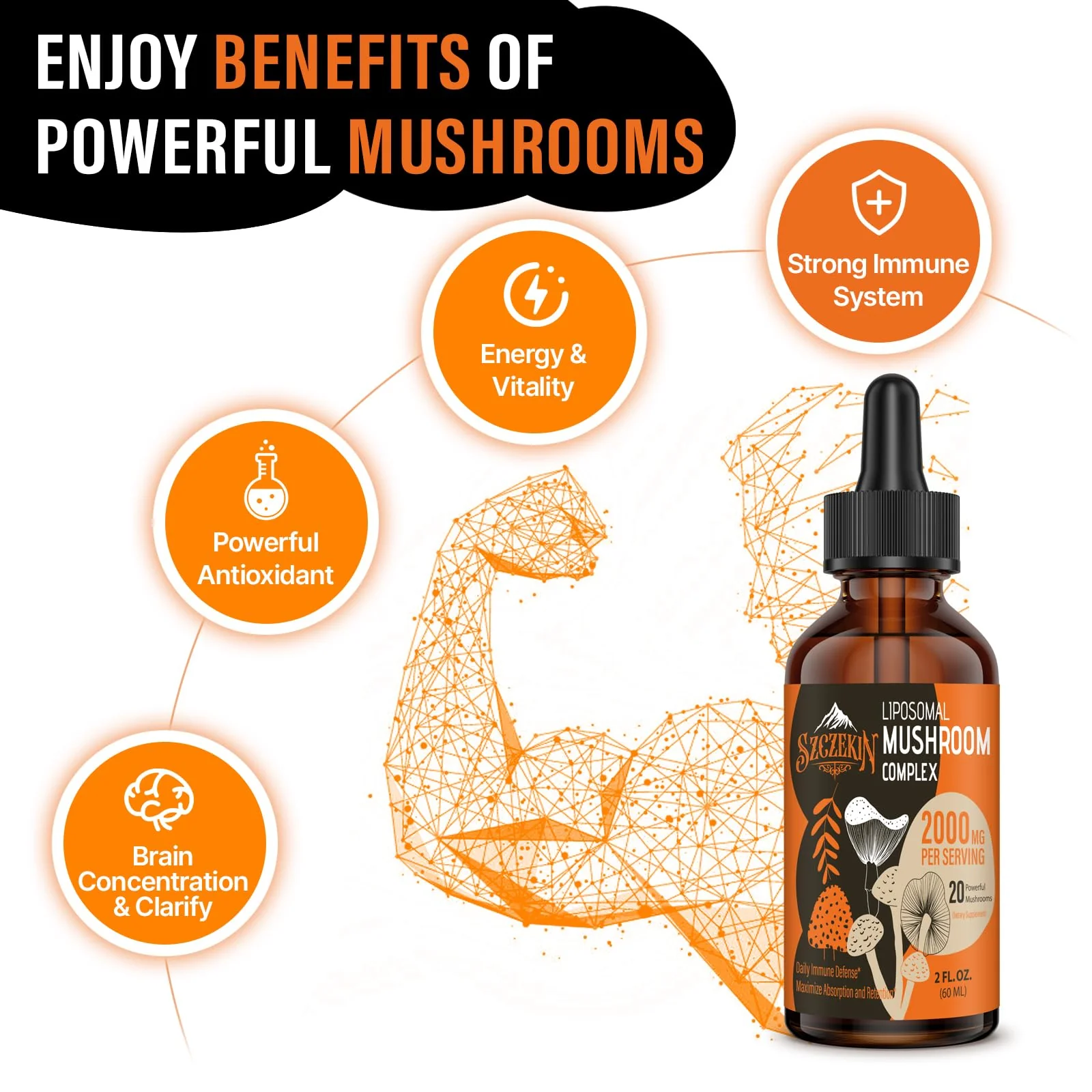 SZCZEKIN Liposomal Mushroom Drops 2000 MG – 20 Organic Extracts for Immunity, Cognition & Memory | 90 Servings - Image 6