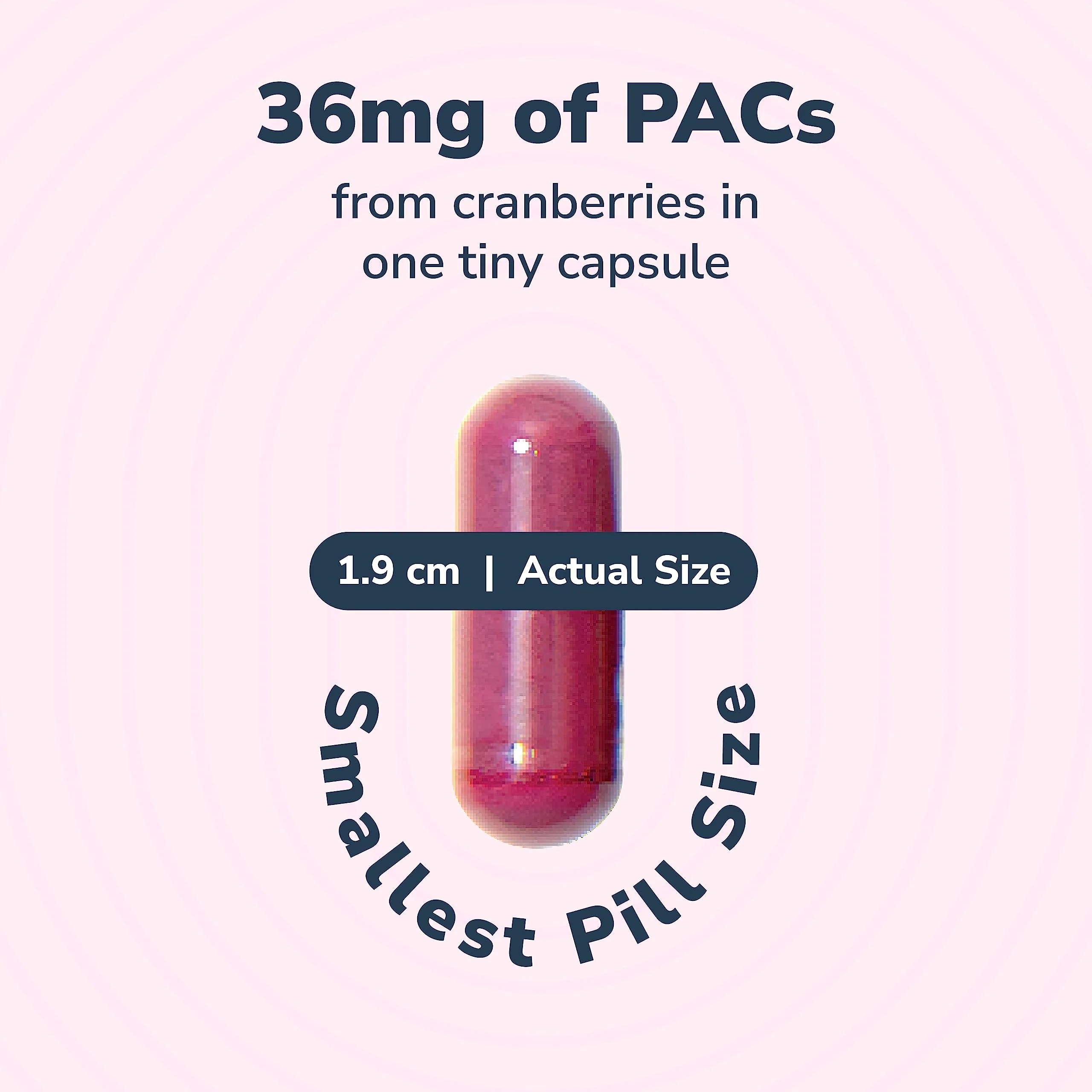 Szio+ Utiva Cranberry PACs – 36 mg PACs Clinically Studied UTI Prevention for Women | 30 Veggie Capsules - Image 9