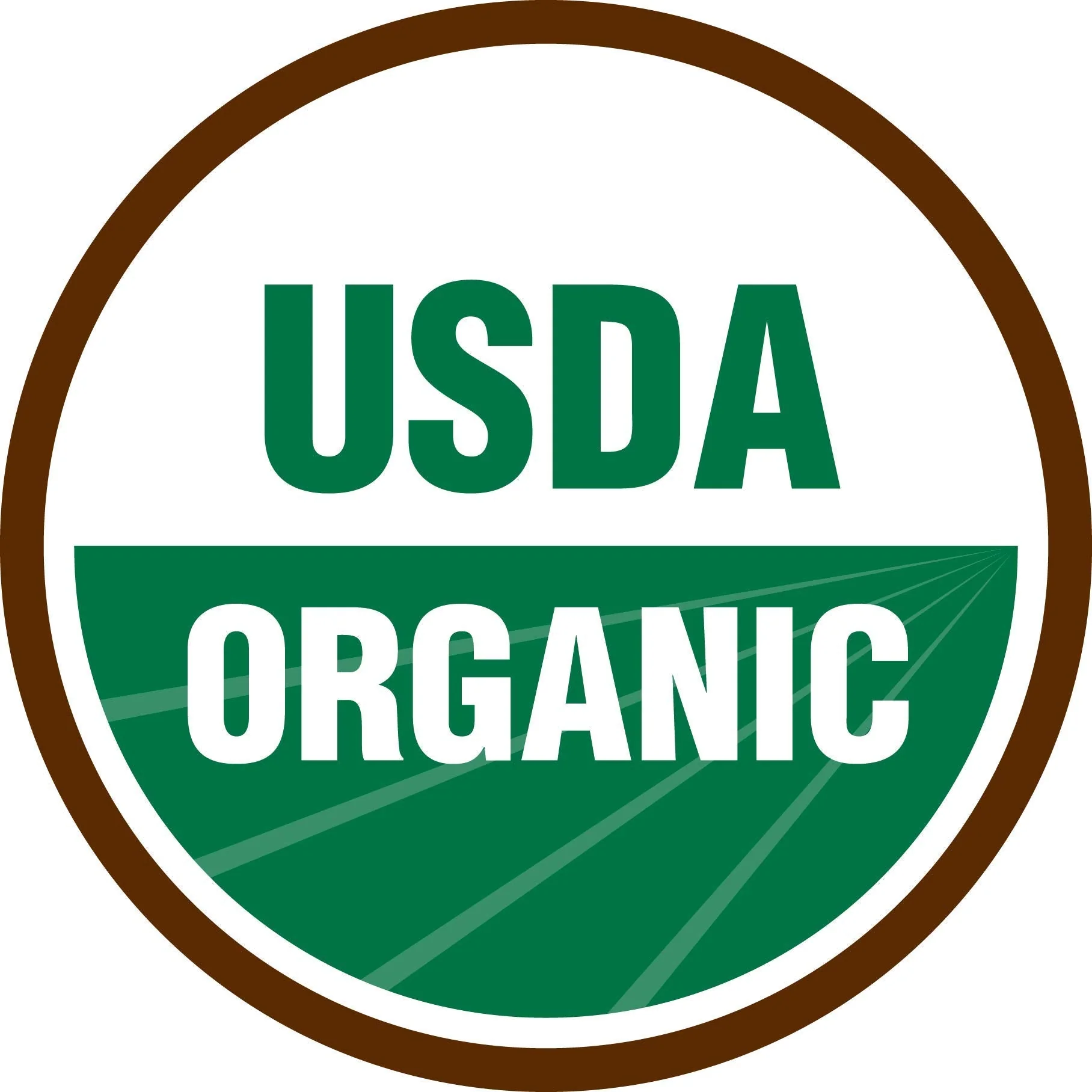 Terrasoul Organic Date Sugar 1 Lb - Low Glycemic, Unrefined | Pack of 2 - Image 4