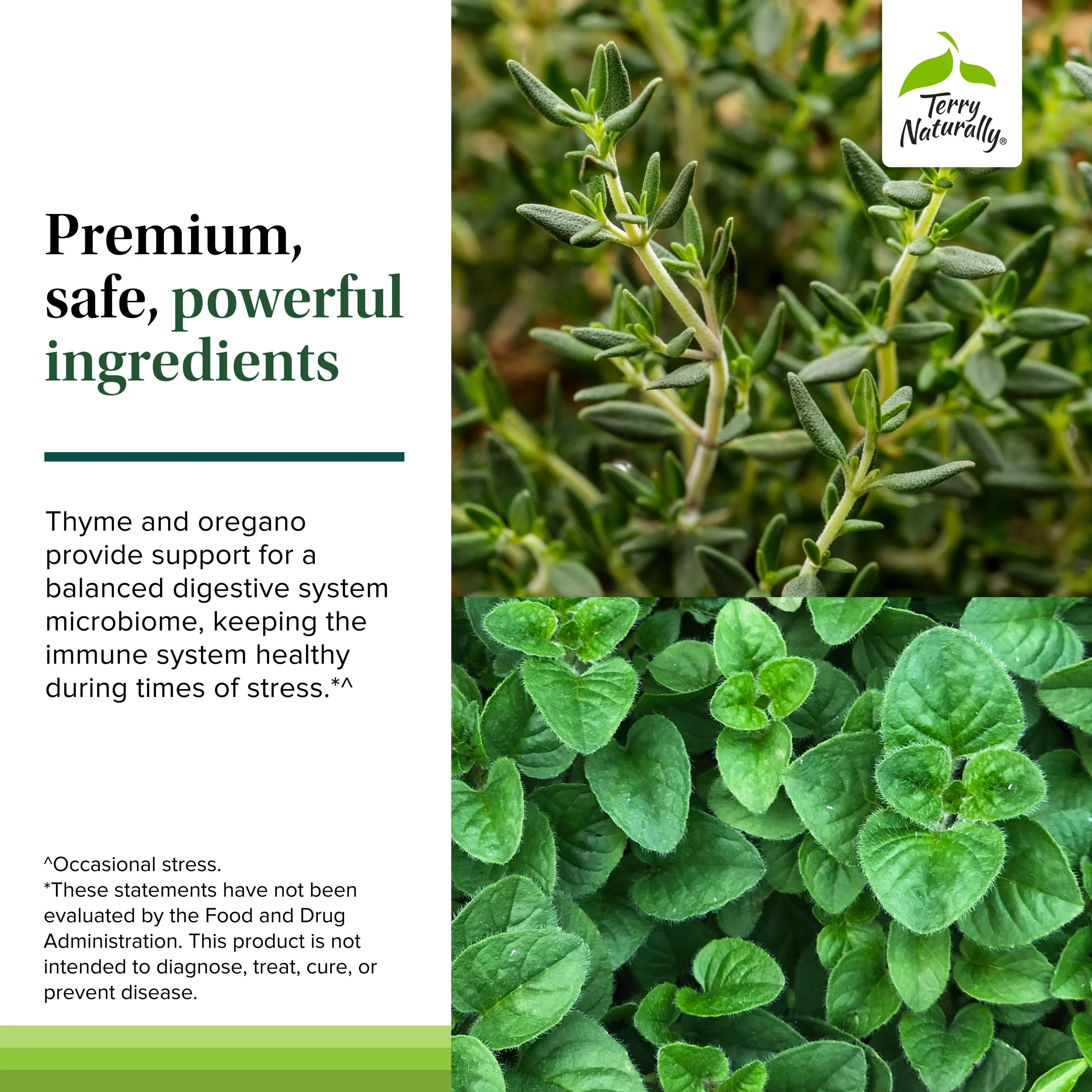 Terry Naturally Bacteril Extra Strength – Immune & GI Health (Gluten & Dairy Free) - Image 5