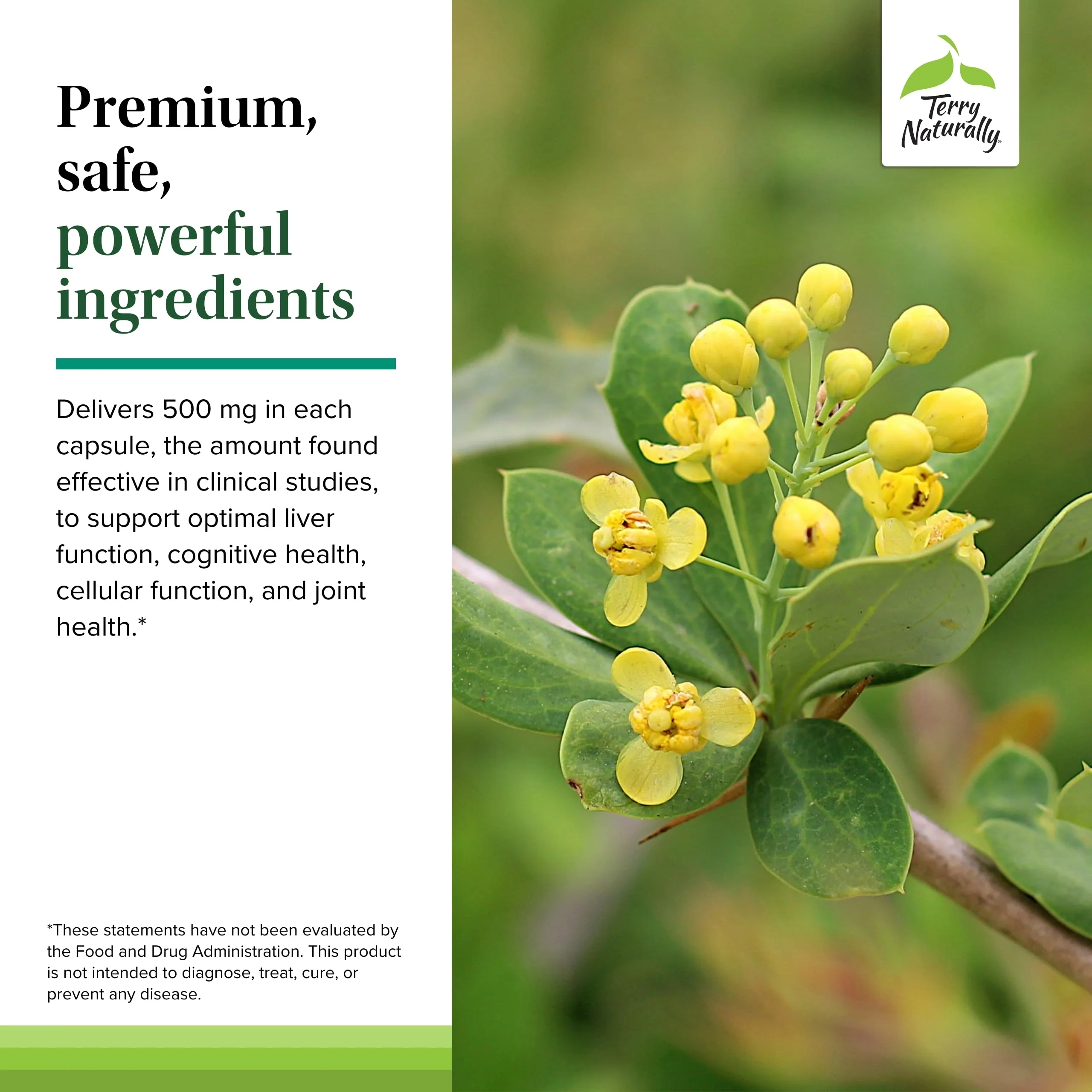 Terry Naturally Berberine - Liver Health & Metabolism Support | 60 Capsules (Pack of 2) - Image 5