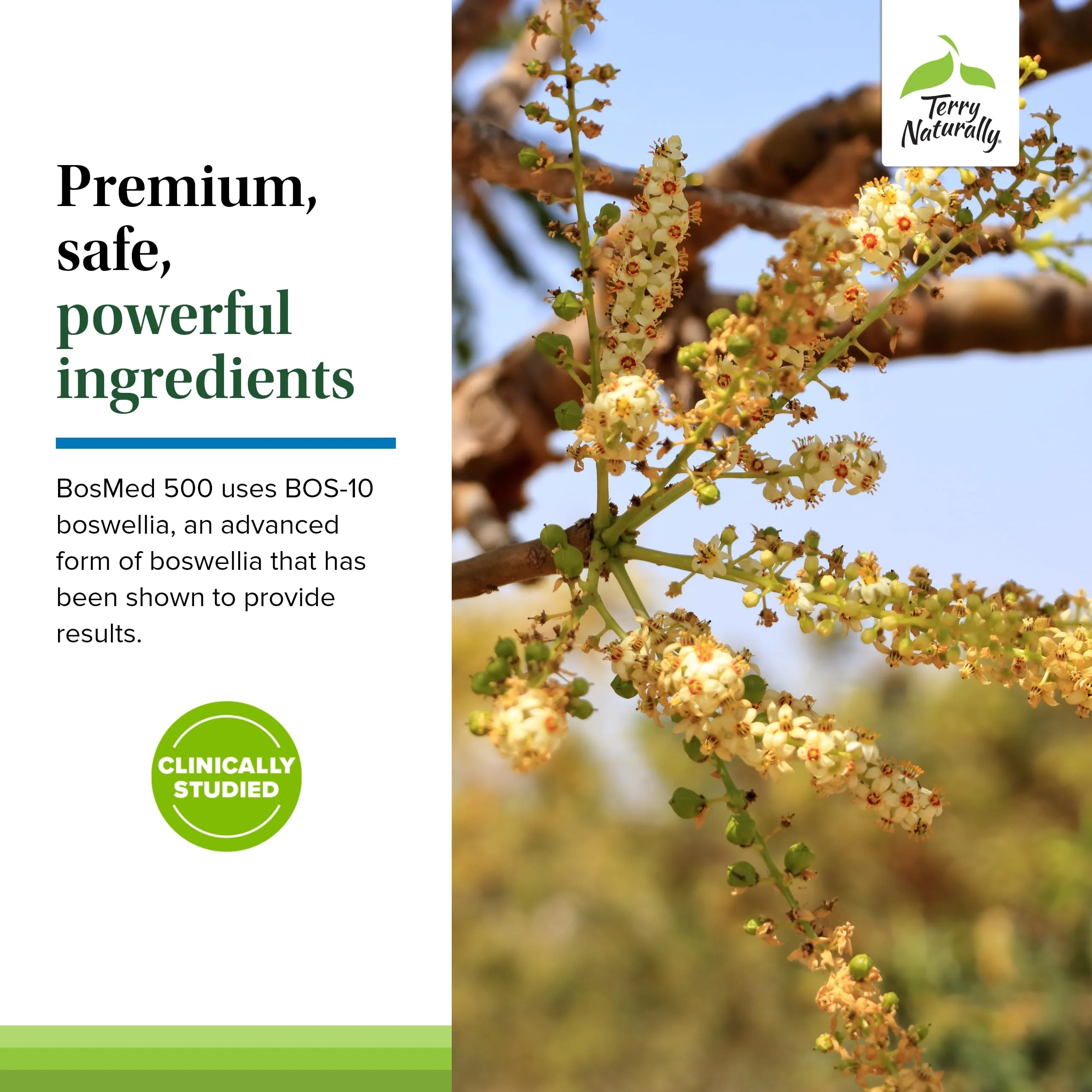 Terry Naturally BosMed 500 Extra Strength Boswellia Softgels for Lung Support | AKBA-Rich Boswellia Serrata, 120 Softgels - Image 6