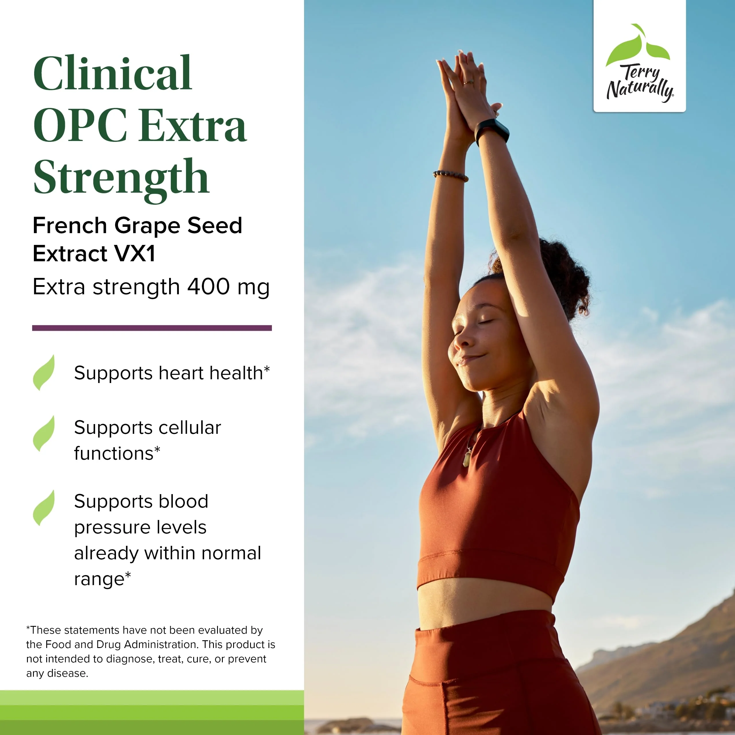 Terry Naturally Clinical OPC Extra Strength – Cardiovascular Health, Focus & Immune Support, Grape Seed Extract, 60 Softgels (Pack of 3) - Image 3