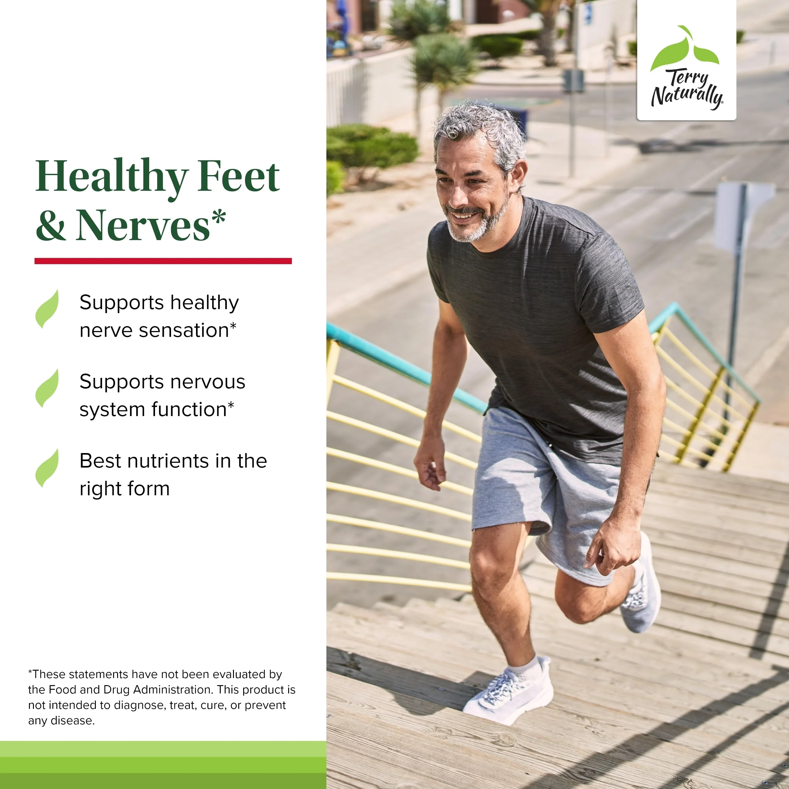 Terry Naturally Healthy Feet & Nerves – Vegan Nerve & Circulation Support with Bioactive B12 & Boswellia Serrata – 240 Capsules (Pack of 2) - Image 4