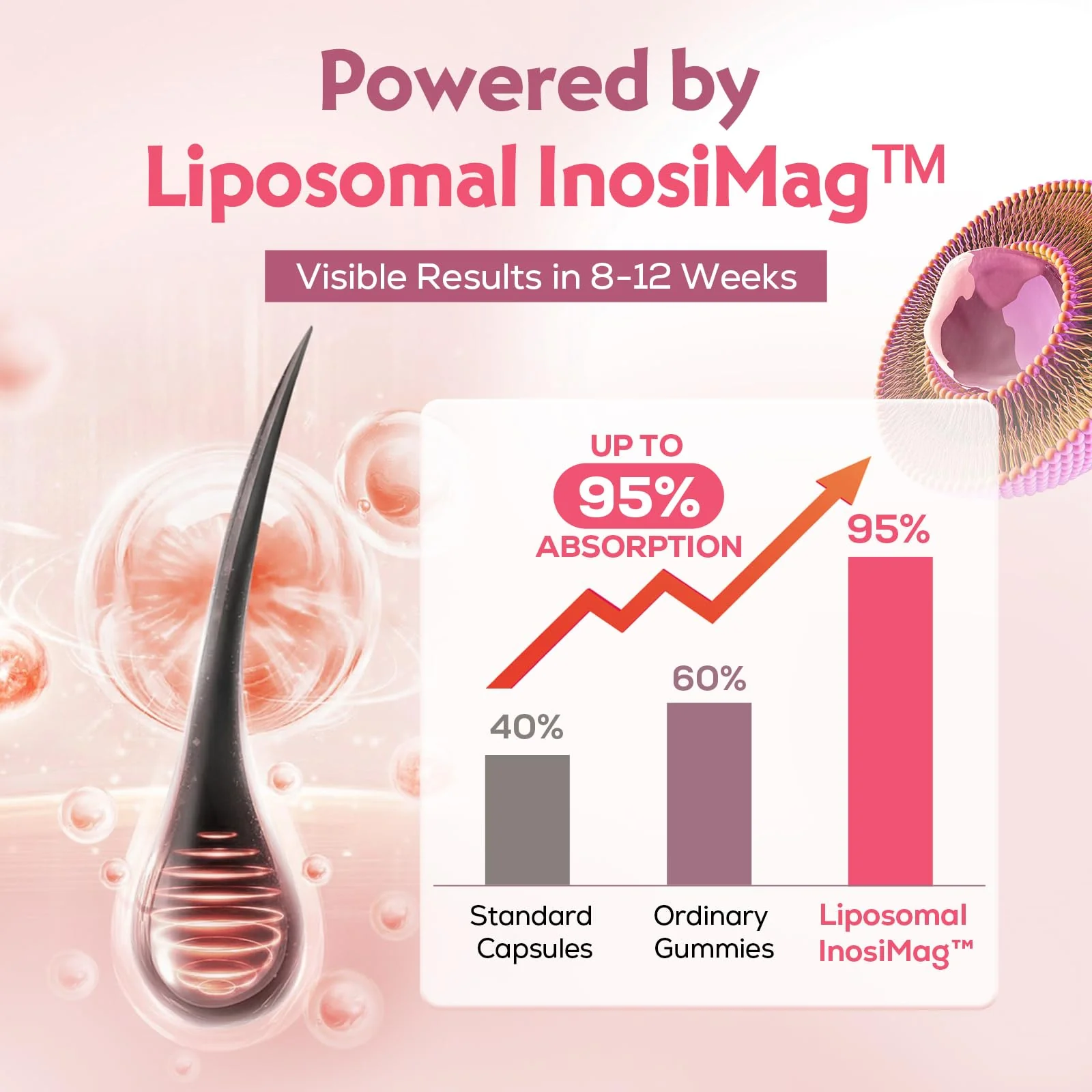 Tervaies Liposomal Hair Growth Soft Chews – High-Potency Vitamins with Biotin, InosiMag, Collagen & Zinc - Image 11