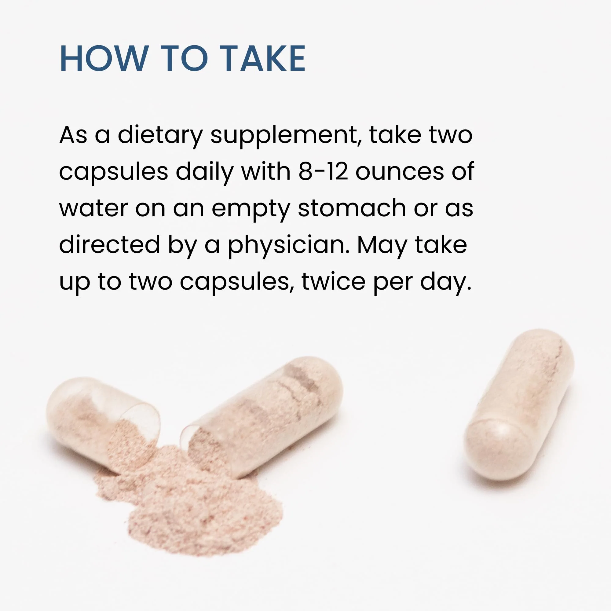The Wellness Company Spike Support | Nattokinase, Dandelion Root & Black Sativa – 60ct - Image 14