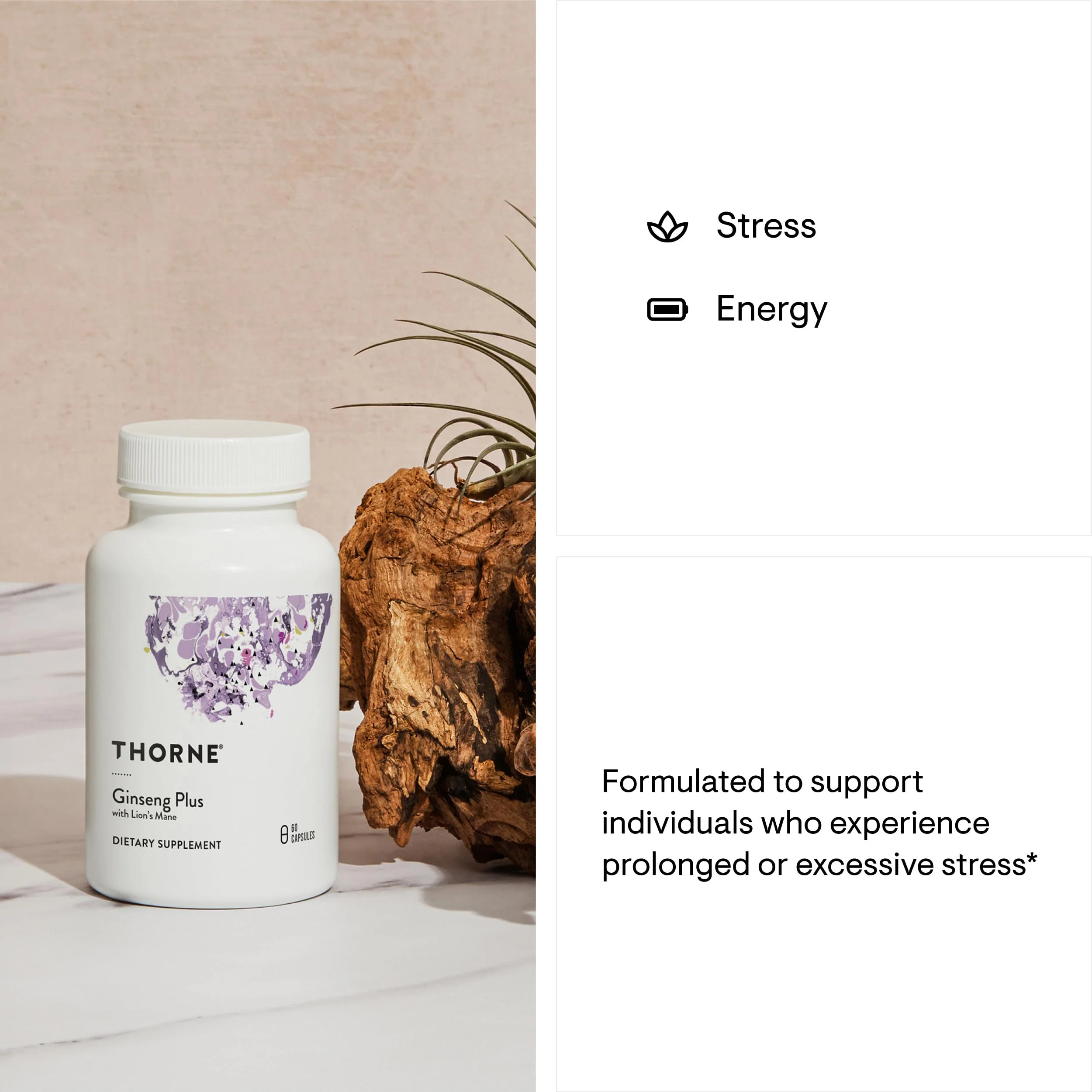 THORNE Ginseng Plus – Focus, Cognition & Memory Support with Korean Red Ginseng, Lion's Mane & Greek Mountain Tea | 60 Capsules - Image 5