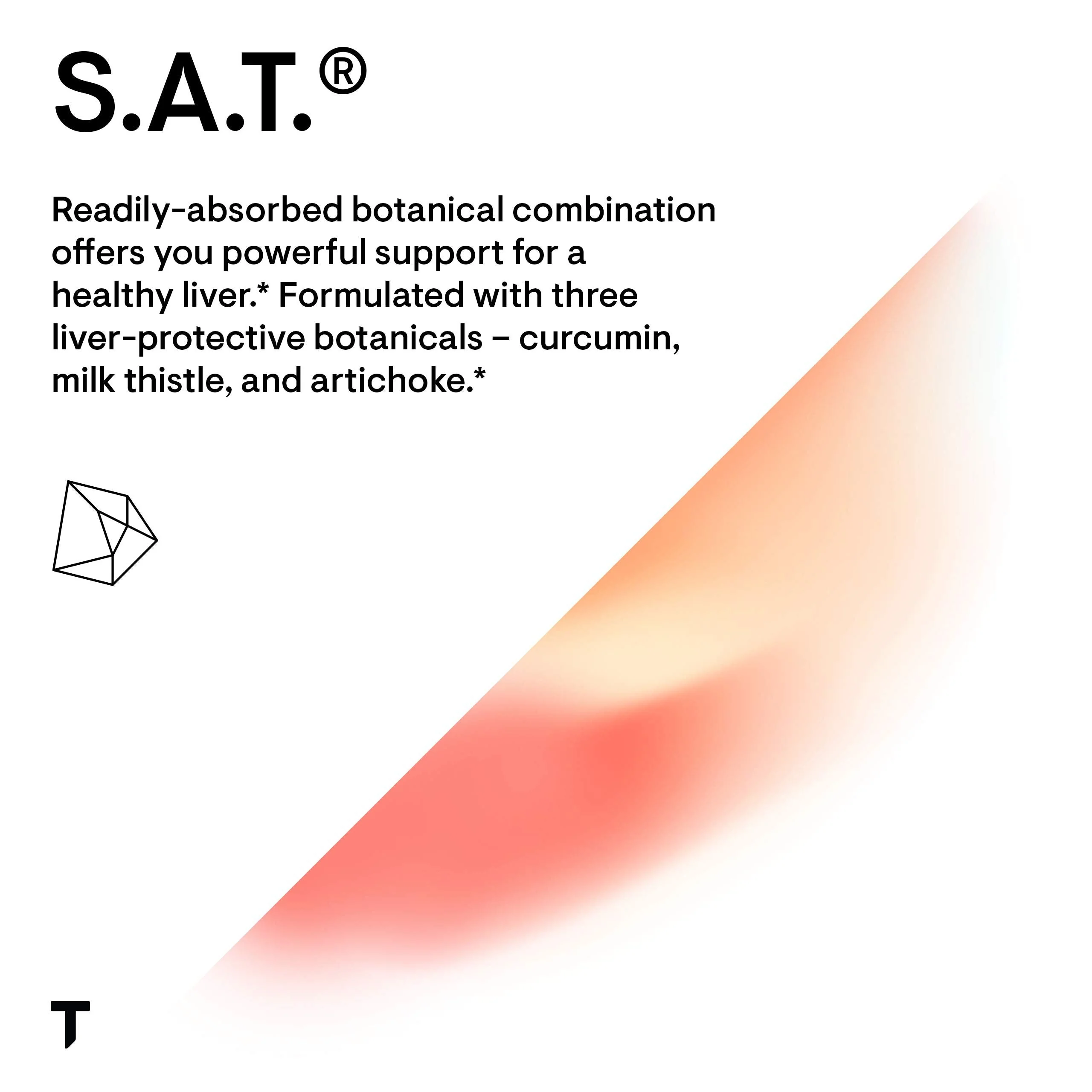 THORNE - S.A.T. Milk Thistle Complex with Silymarin, Artichoke & Turmeric Extracts for Liver Support | 60 Capsules - Image 2