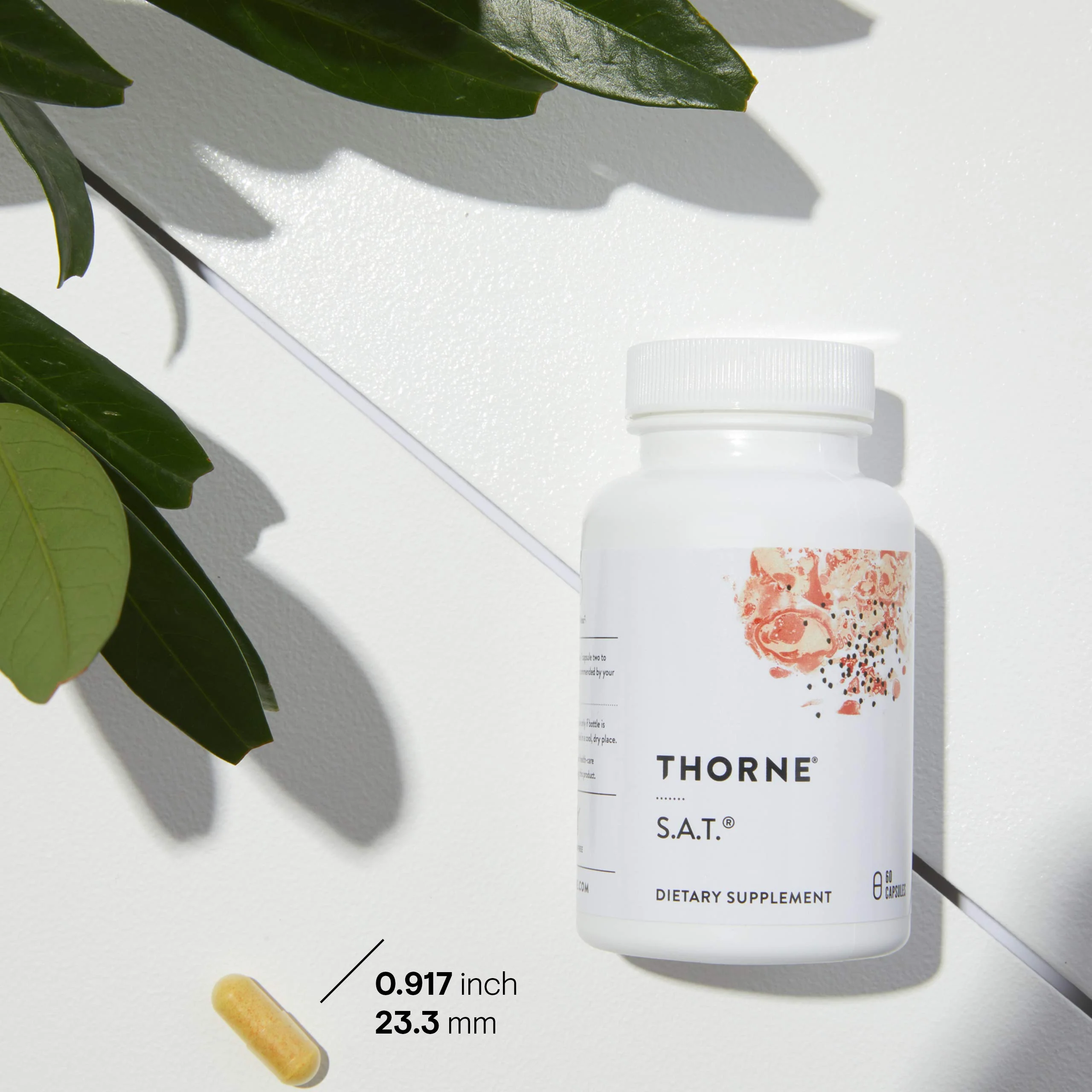 THORNE - S.A.T. Milk Thistle Complex with Silymarin, Artichoke & Turmeric Extracts for Liver Support | 60 Capsules - Image 3