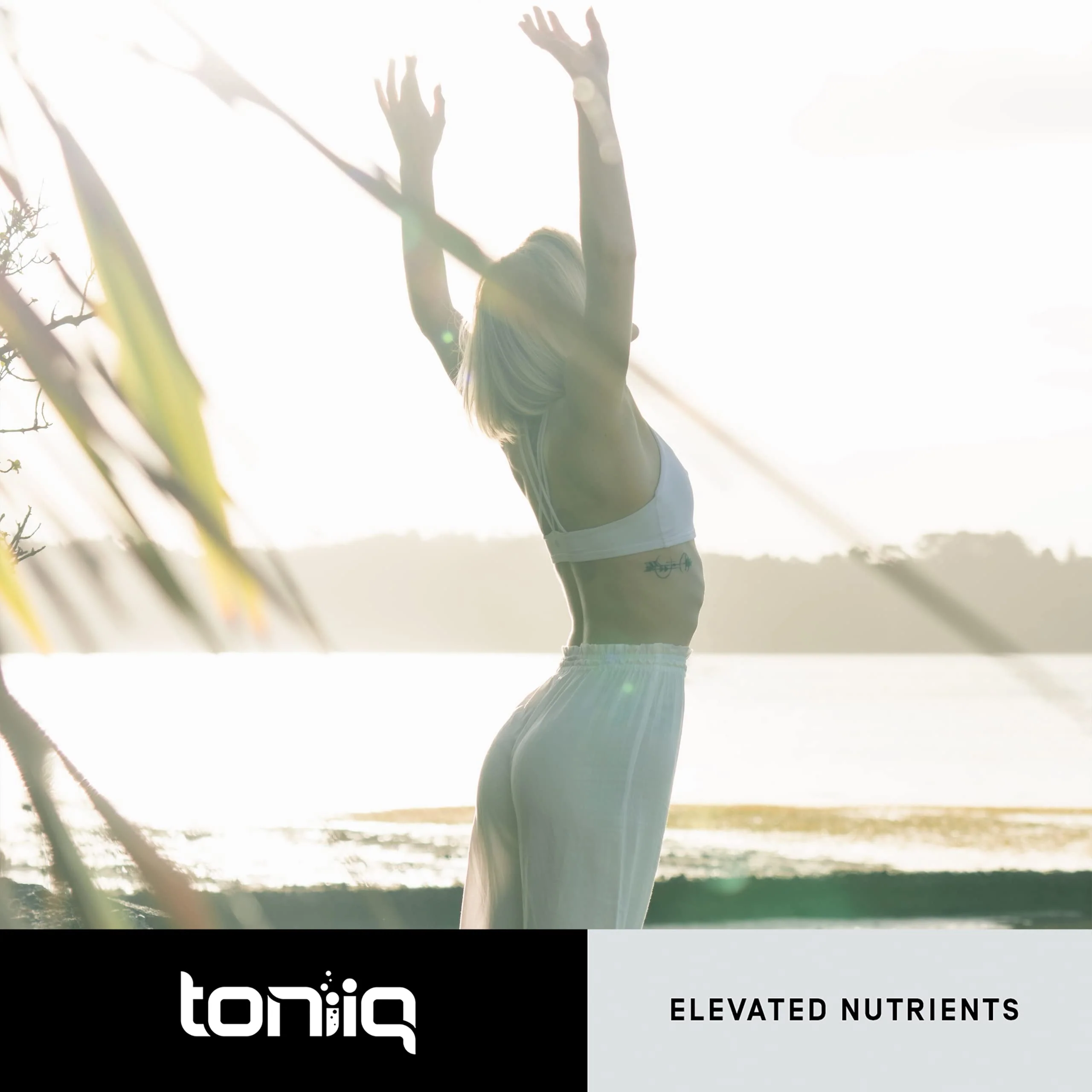 Toniiq Ultra High Purity Fisetin 500mg | 98%+ Purified, MCT-Enhanced Absorption | 60 Capsules - Image 9