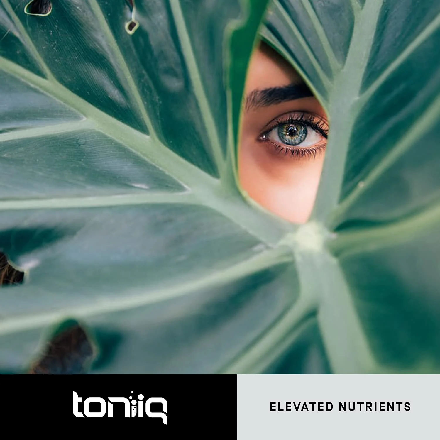Toniiq Ultra High Purity Resveratrol Capsules - 98% Trans-Resveratrol | 180 Caps - Image 8